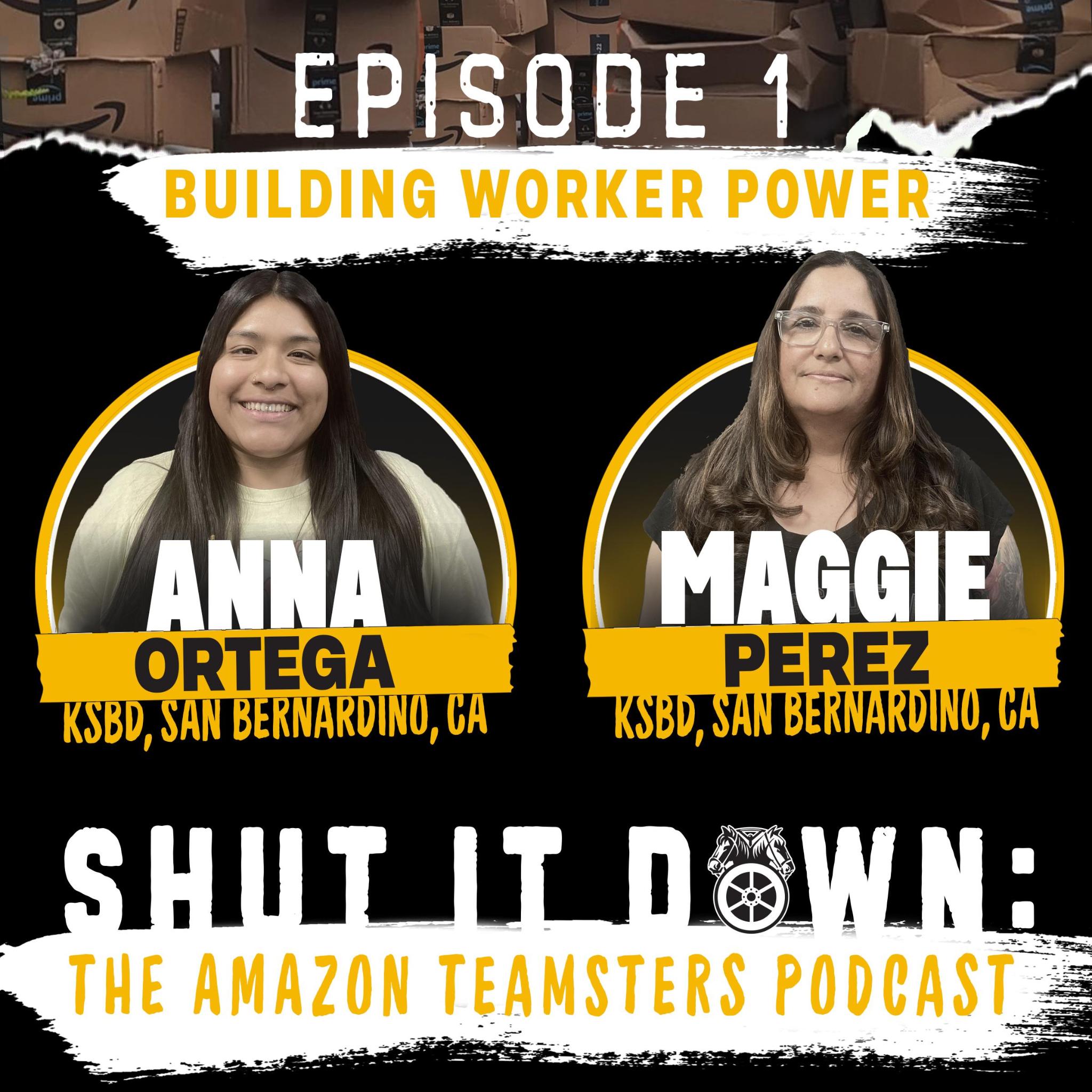 Shut It Down! The Amazon Teamsters Podcast
