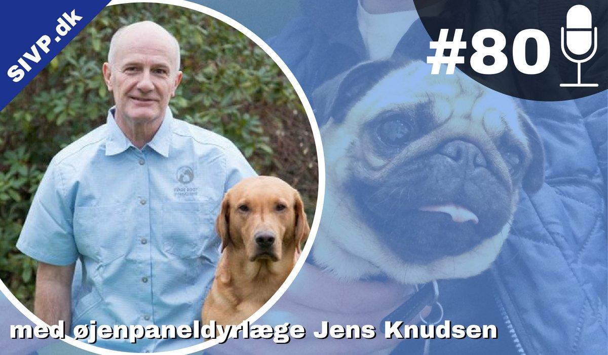Succes I Veterinær Praksis Podcast - Sammen om at blive bedre