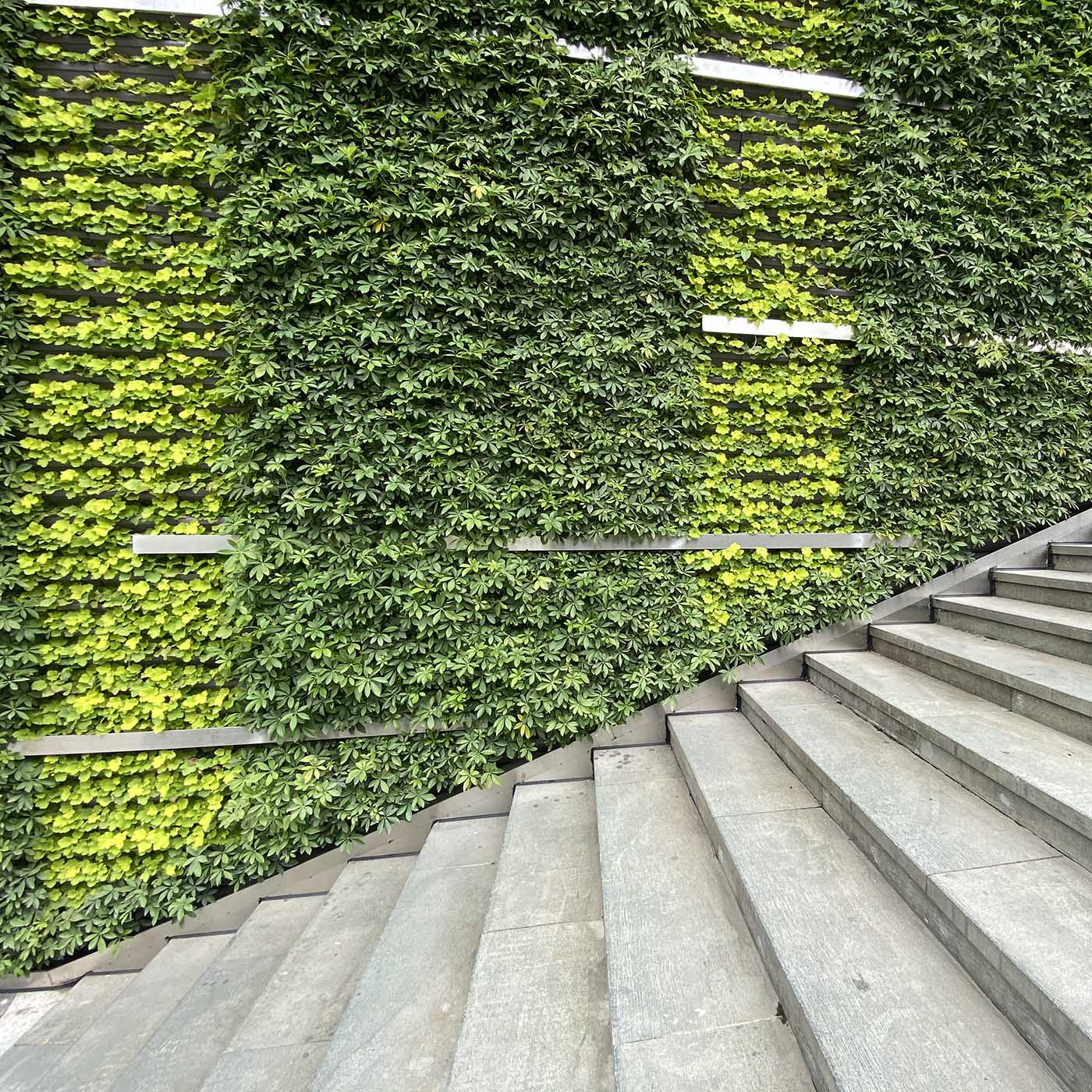 cover of episode A look at the unique decarbonization challenges in Asia