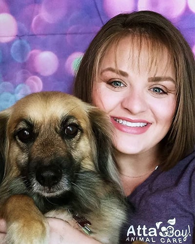 The Poodle to Pitbull Pet Business Podcast