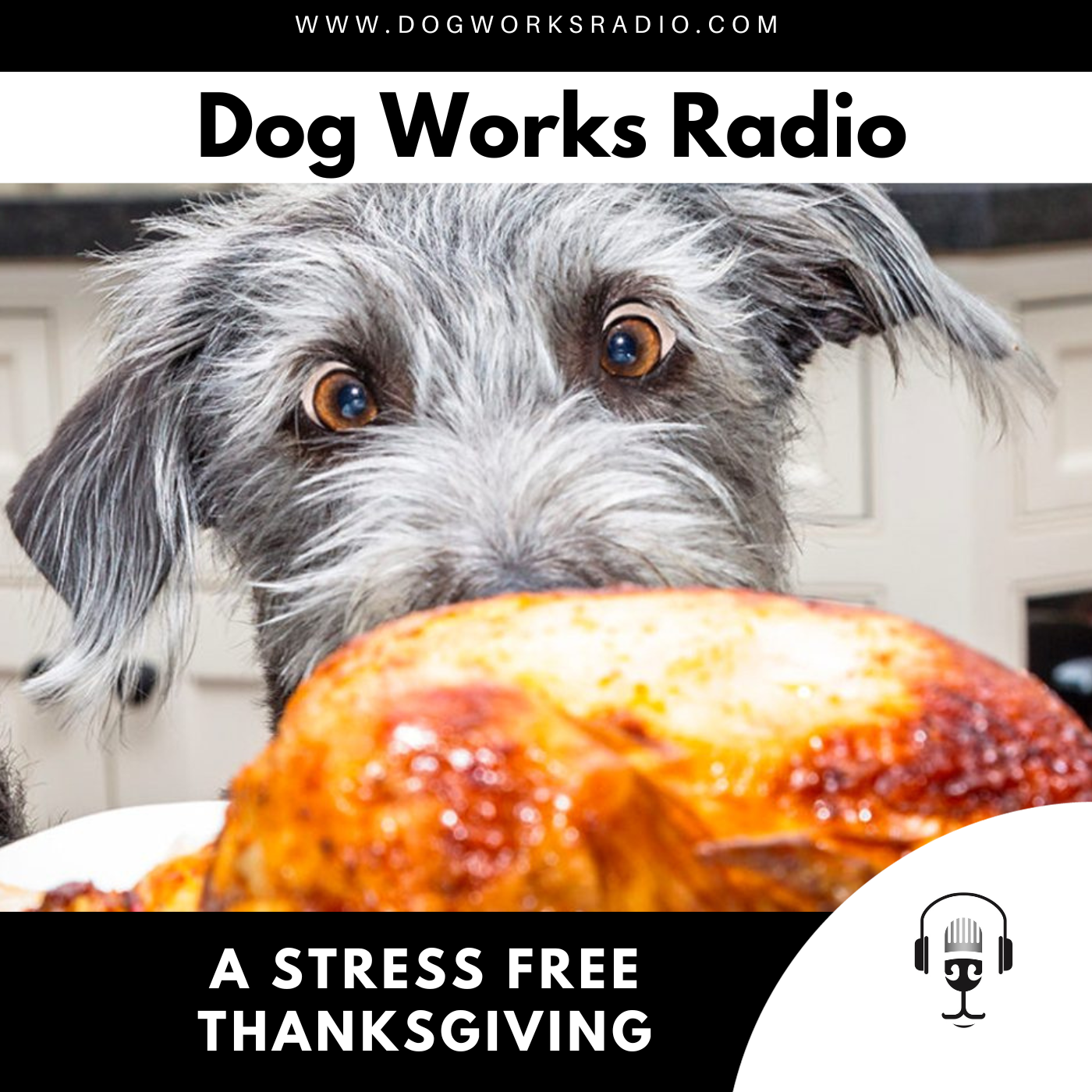 How to Make Your Thanksgiving Holiday Stress-Free and Safe for Your Pup