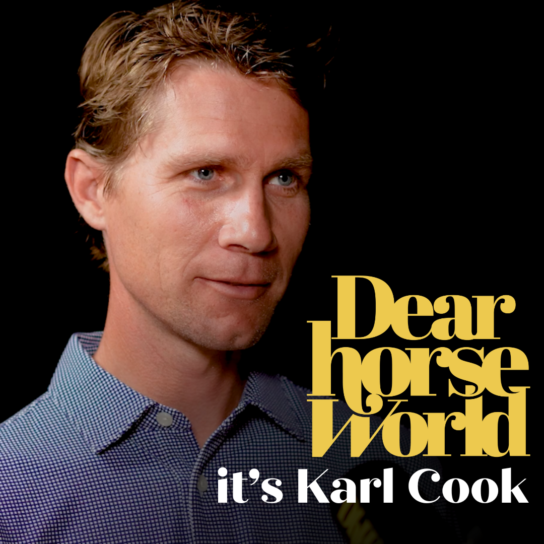 Dear Horse World