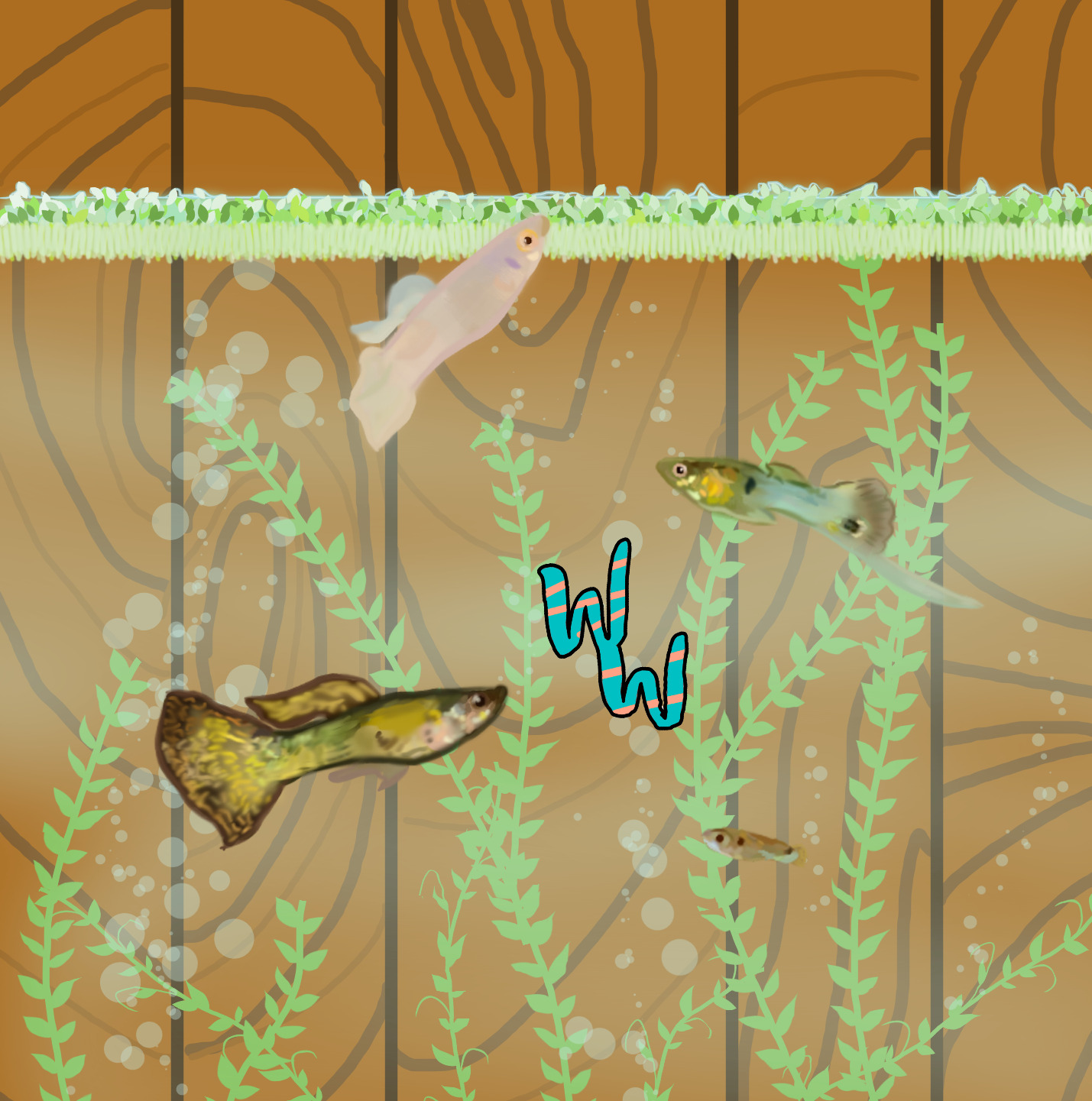 Bonus! Guppies ft. Sweeps