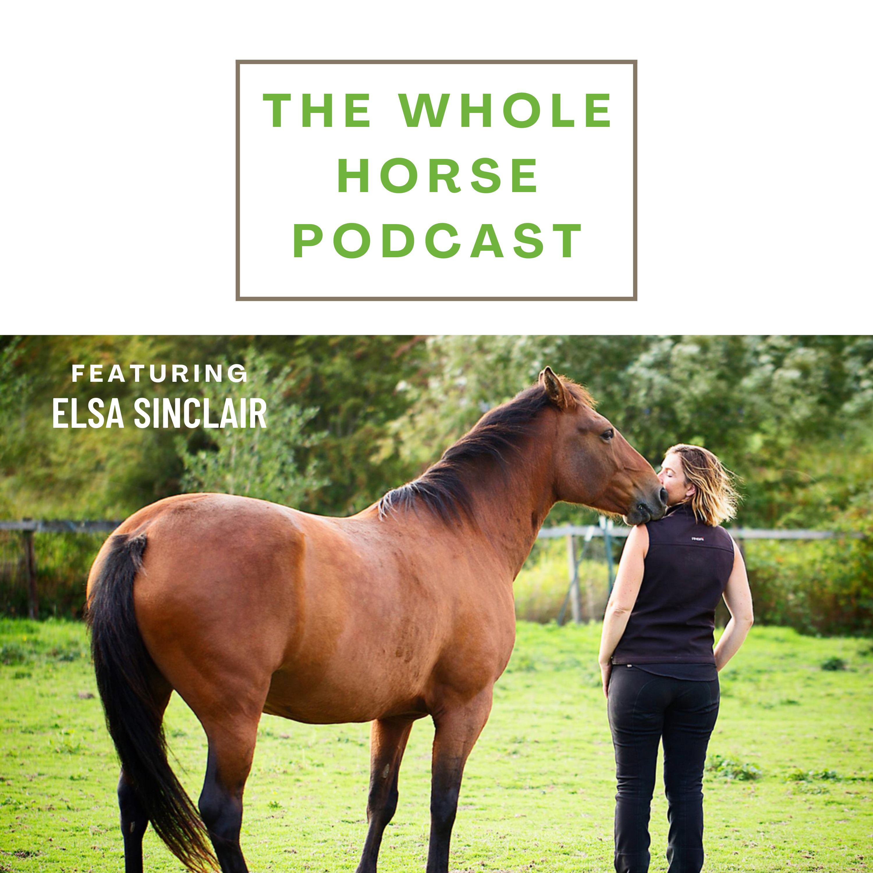 WH146 | The beauty of the mundane, boring, still and settled with with Elsa Sinclair