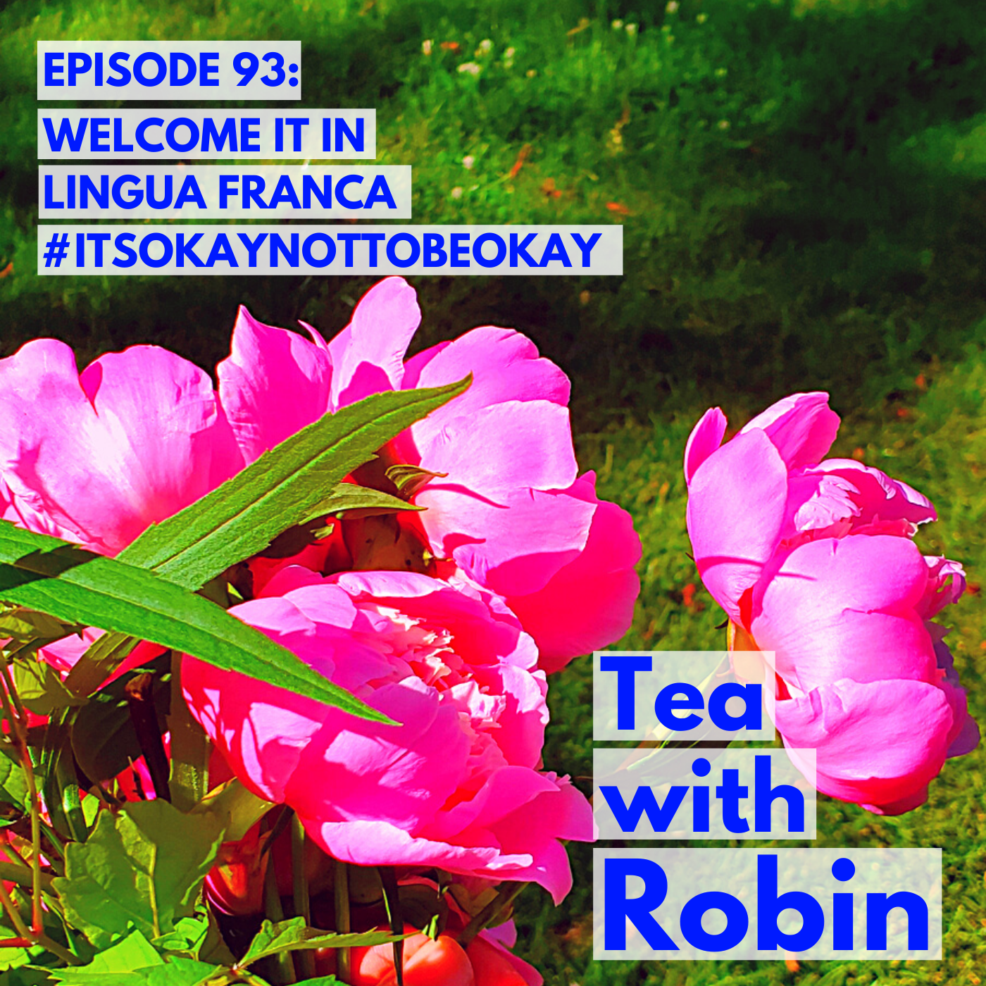 Tea with Robin