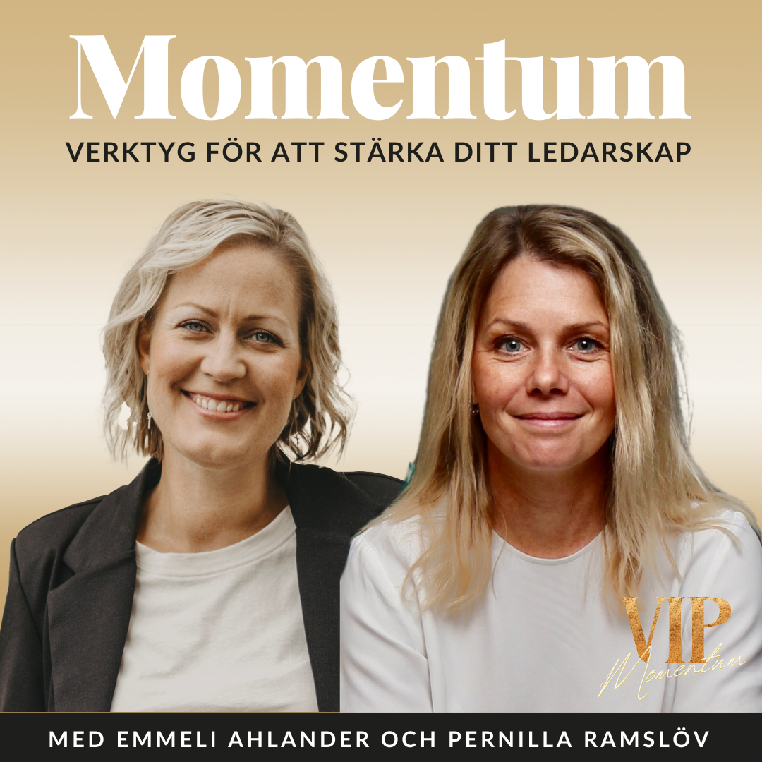 MOMENTUM – vision till verklighet, transformerande ledarskap och frihetsföretagande