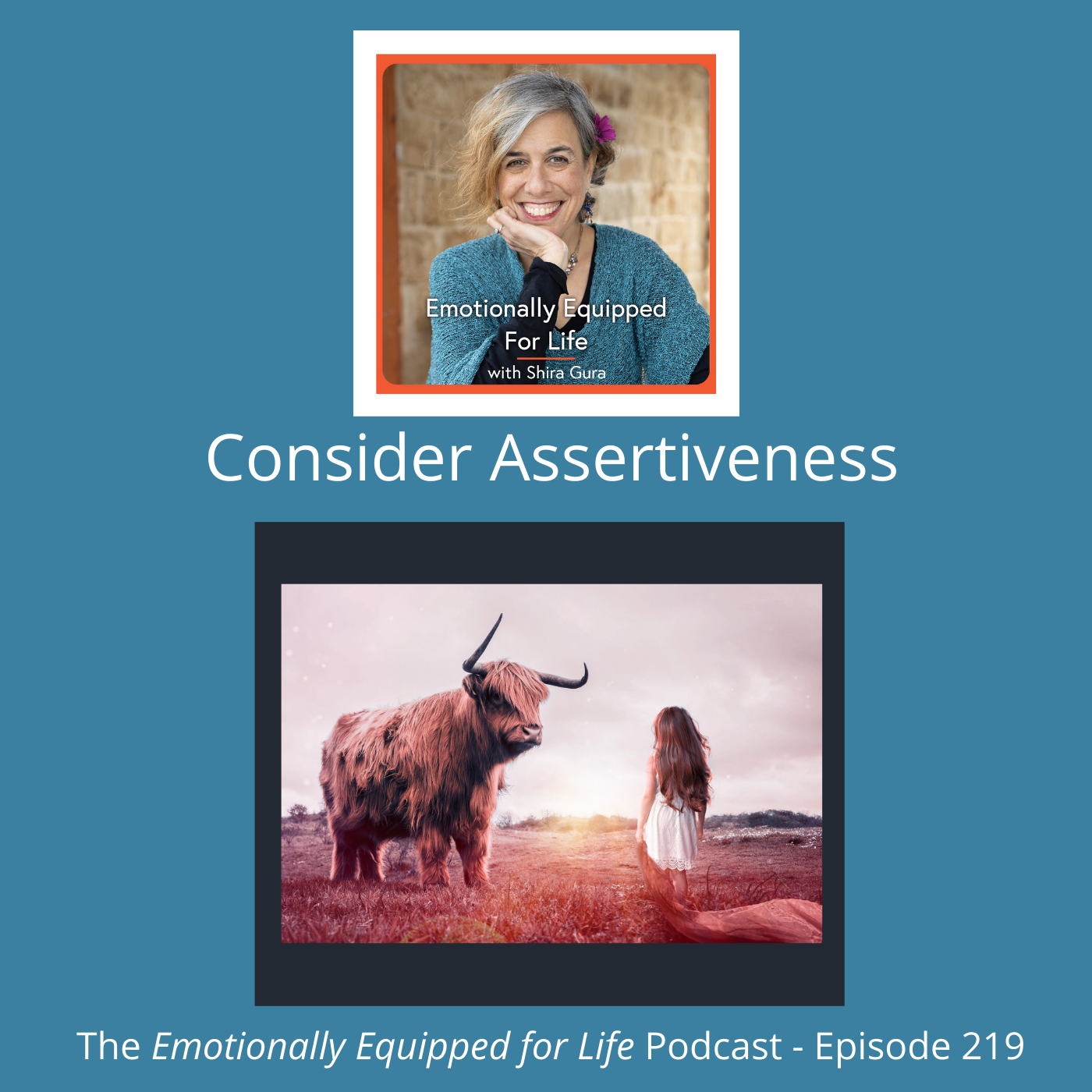 219: Consider Assertiveness