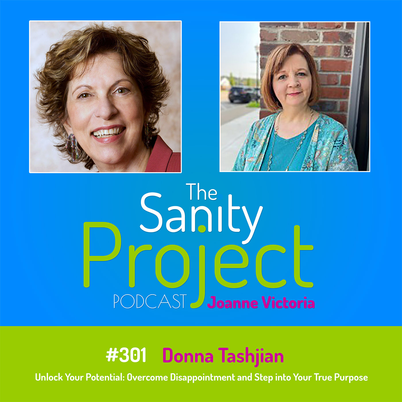 The Sanity Project Podcast