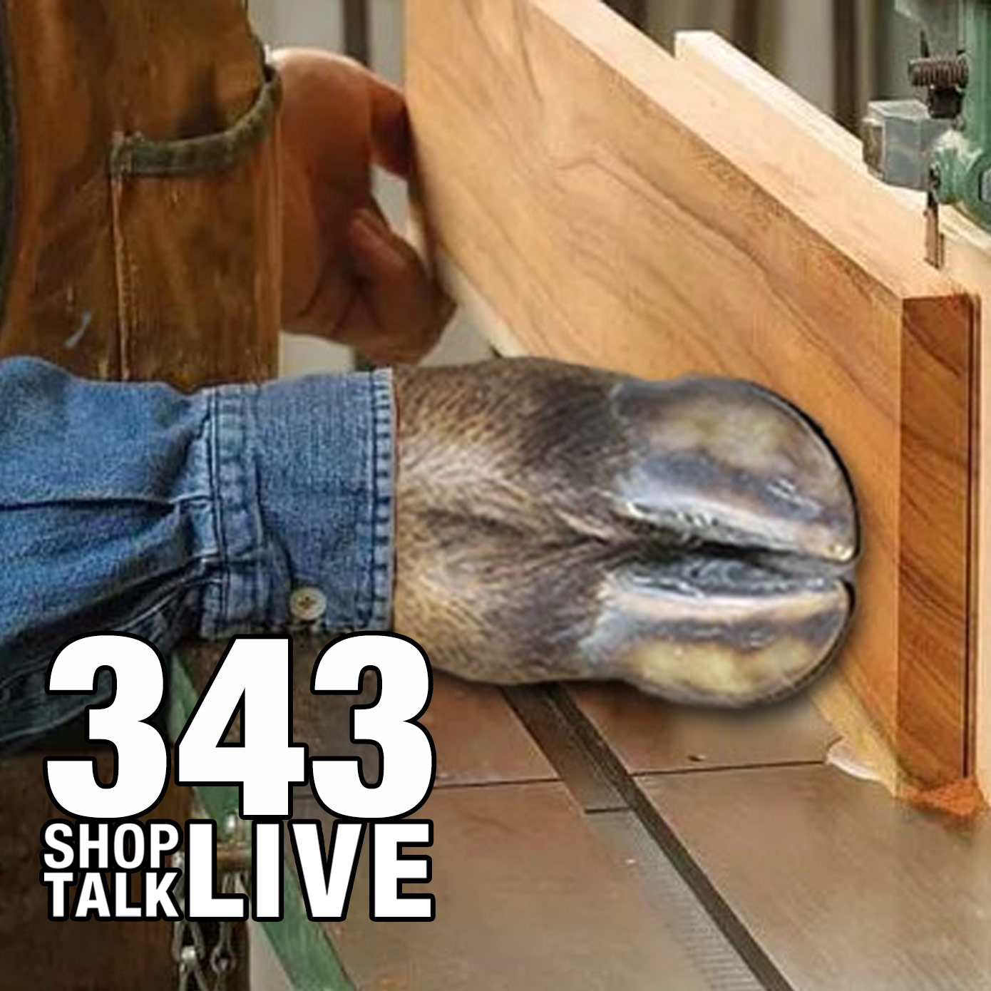 STL343: Don't Moose It!