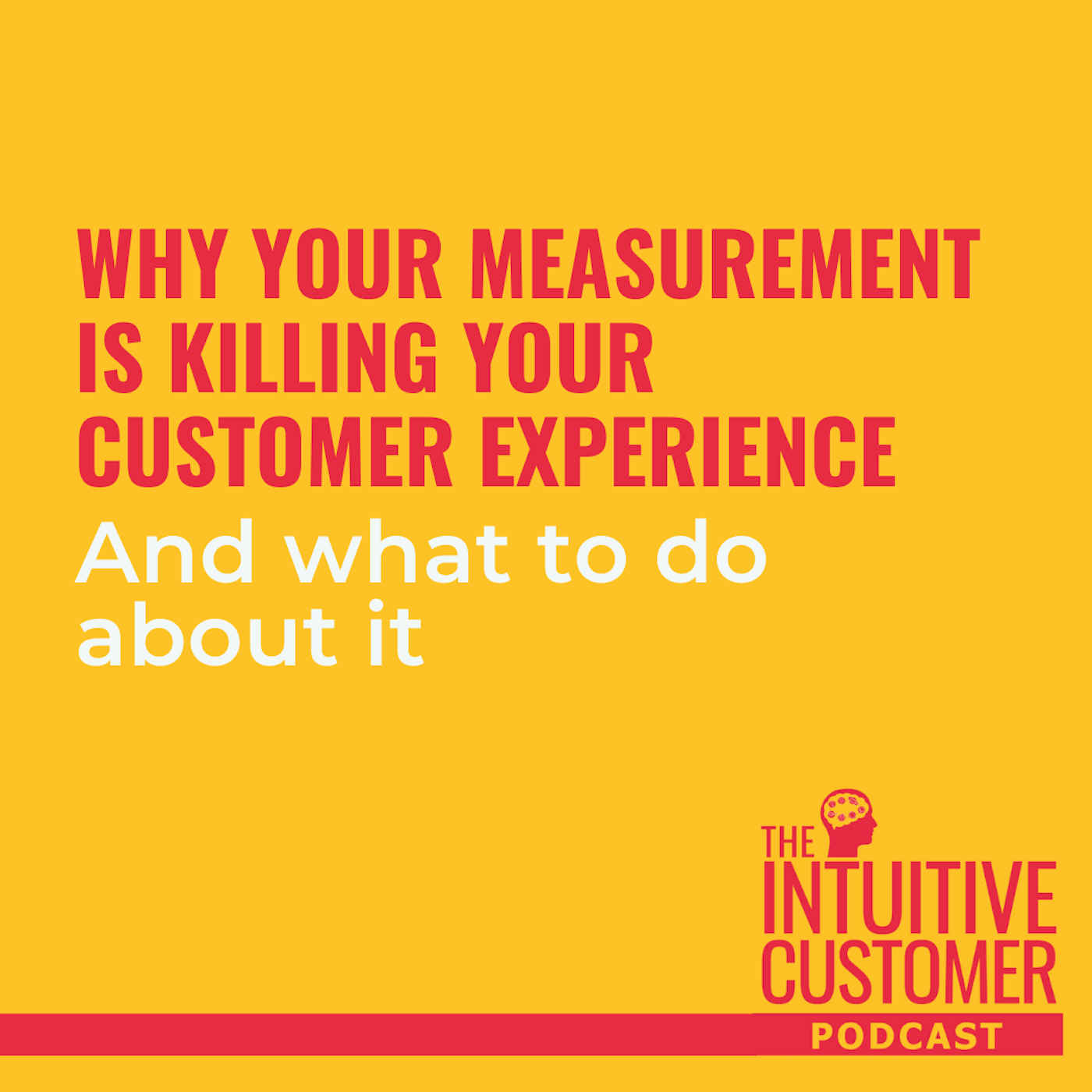 The Intuitive Customer - Helping You Improve Your Customer Experience To Gain Growth