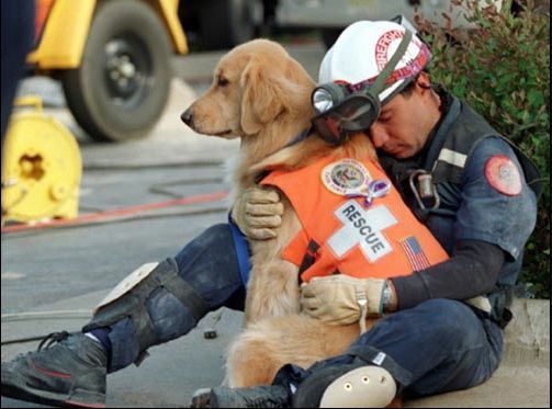 OUR CANINE HEROES (PT 2 OF 2)   A DOG'S JOB IS NEVER DONE