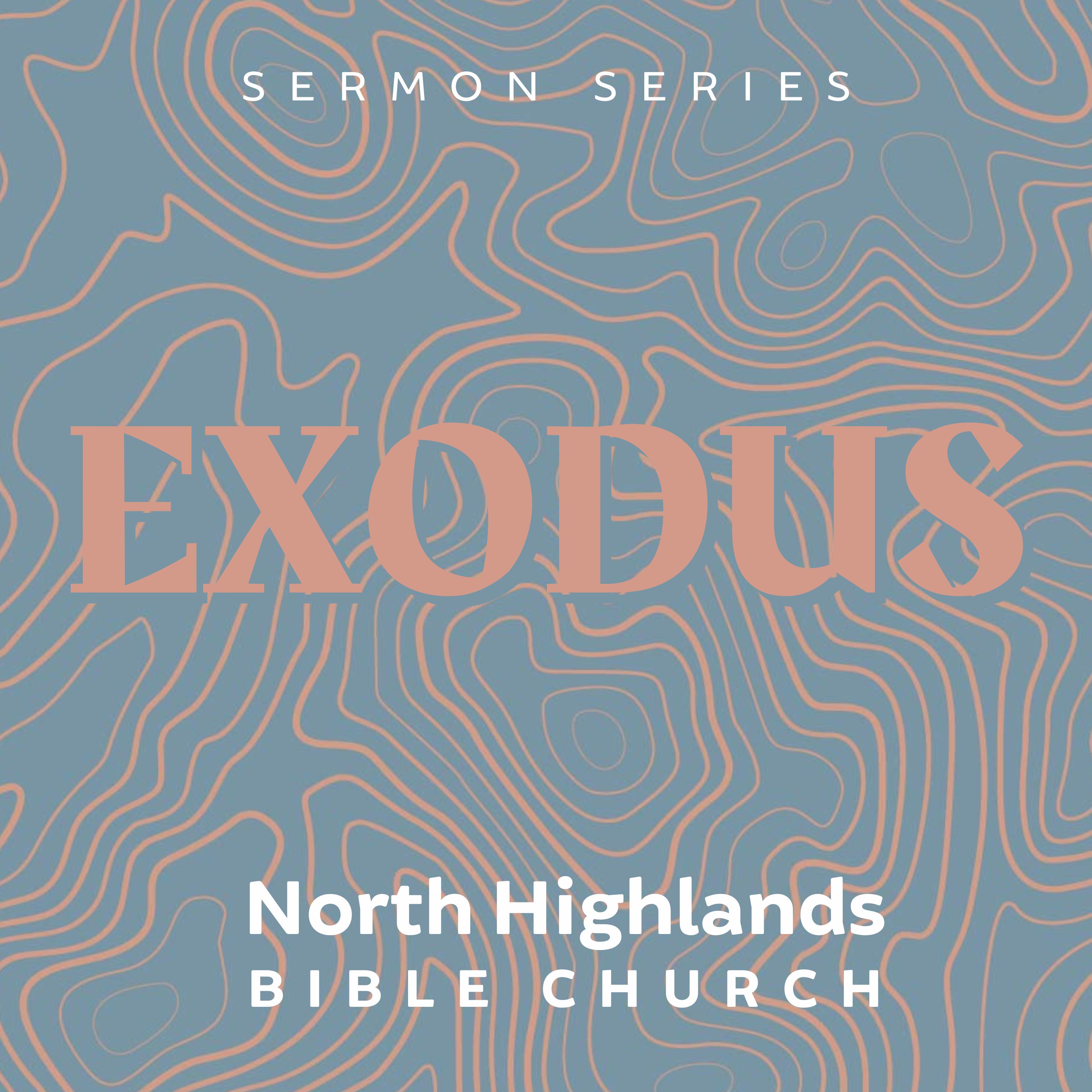 EXODUS: The Substitute