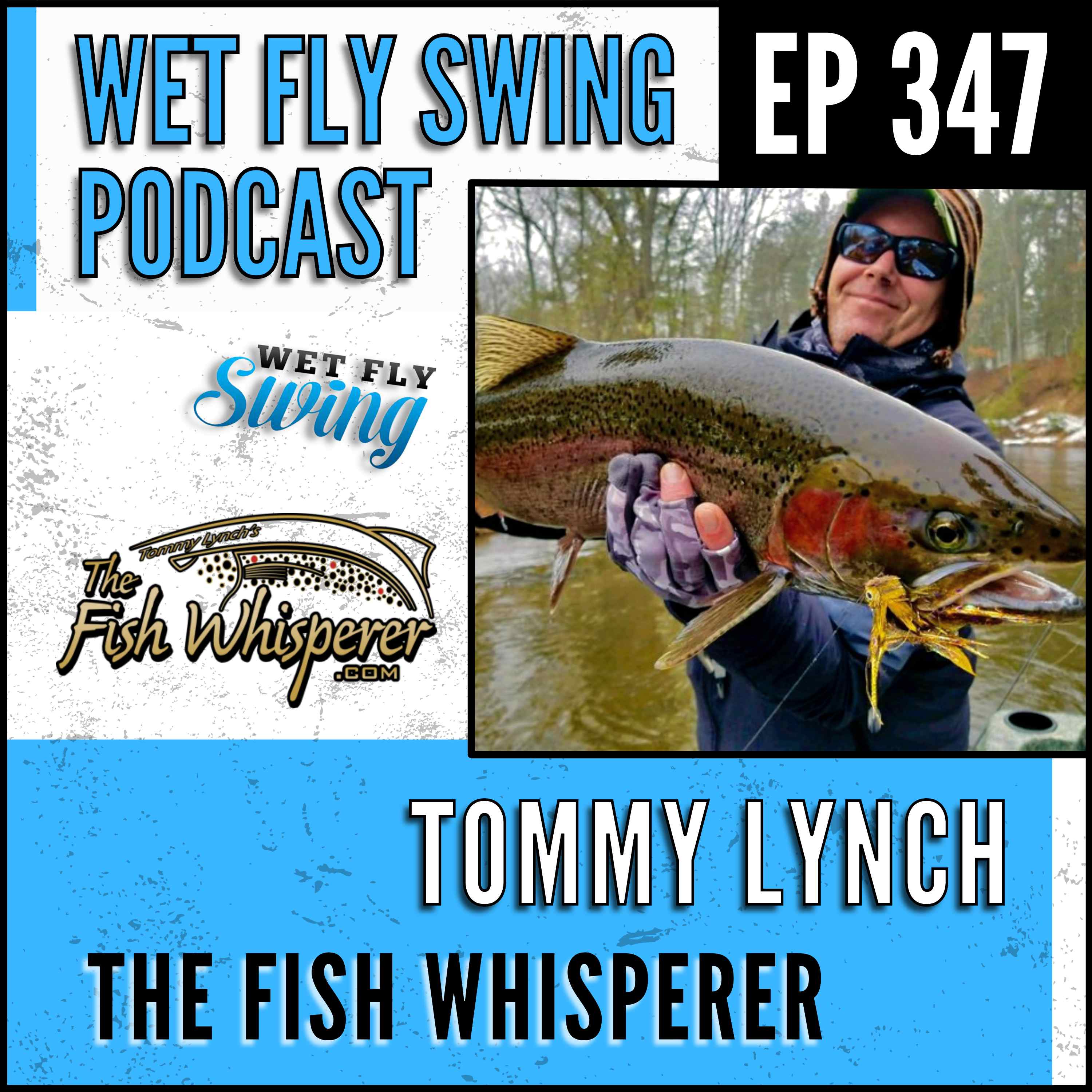 WFS 347 - Streamers for Trout with Tommy Lynch - Brown Trout, Drunk and Disorderly, Pere Marquette