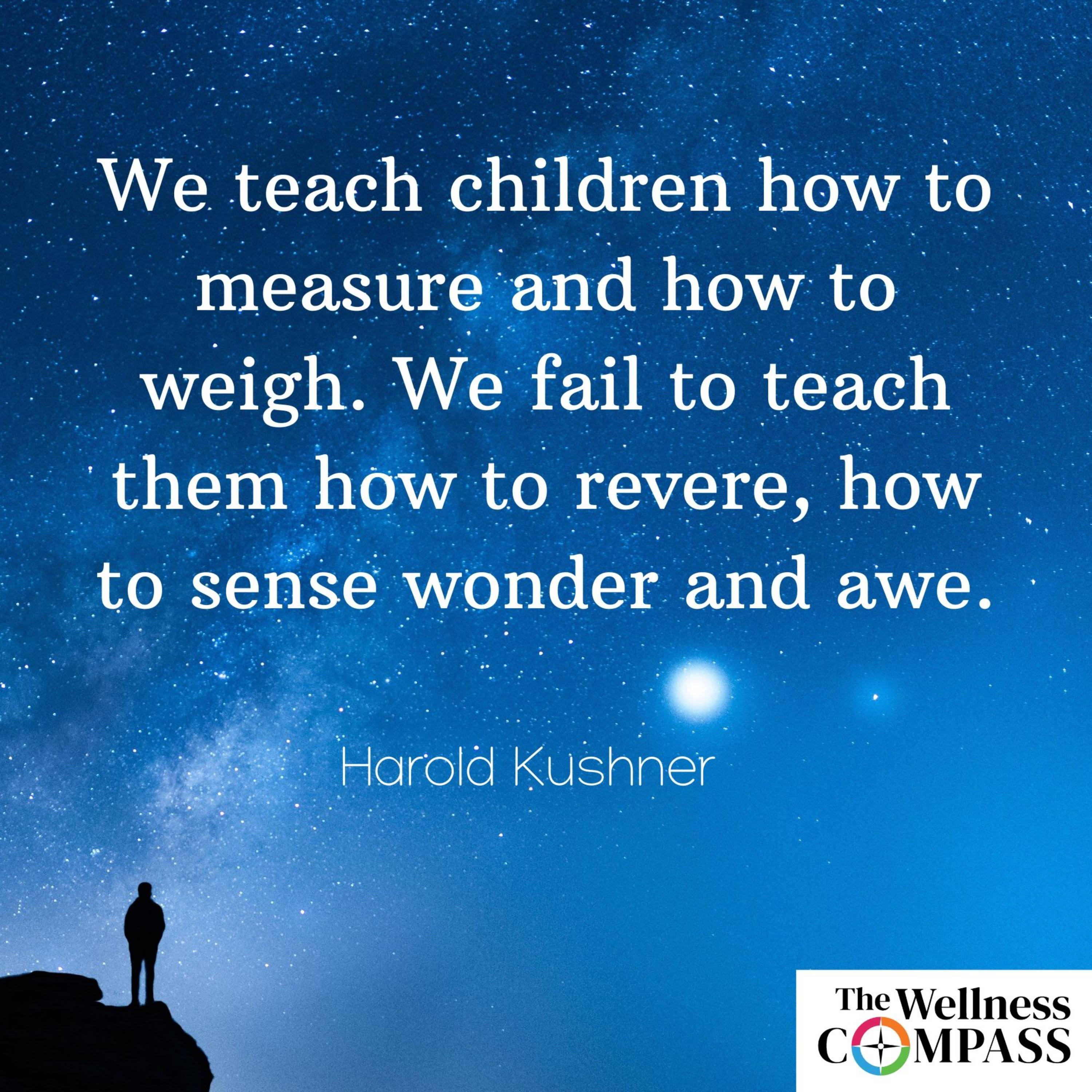The Wellness Compass Podcast
