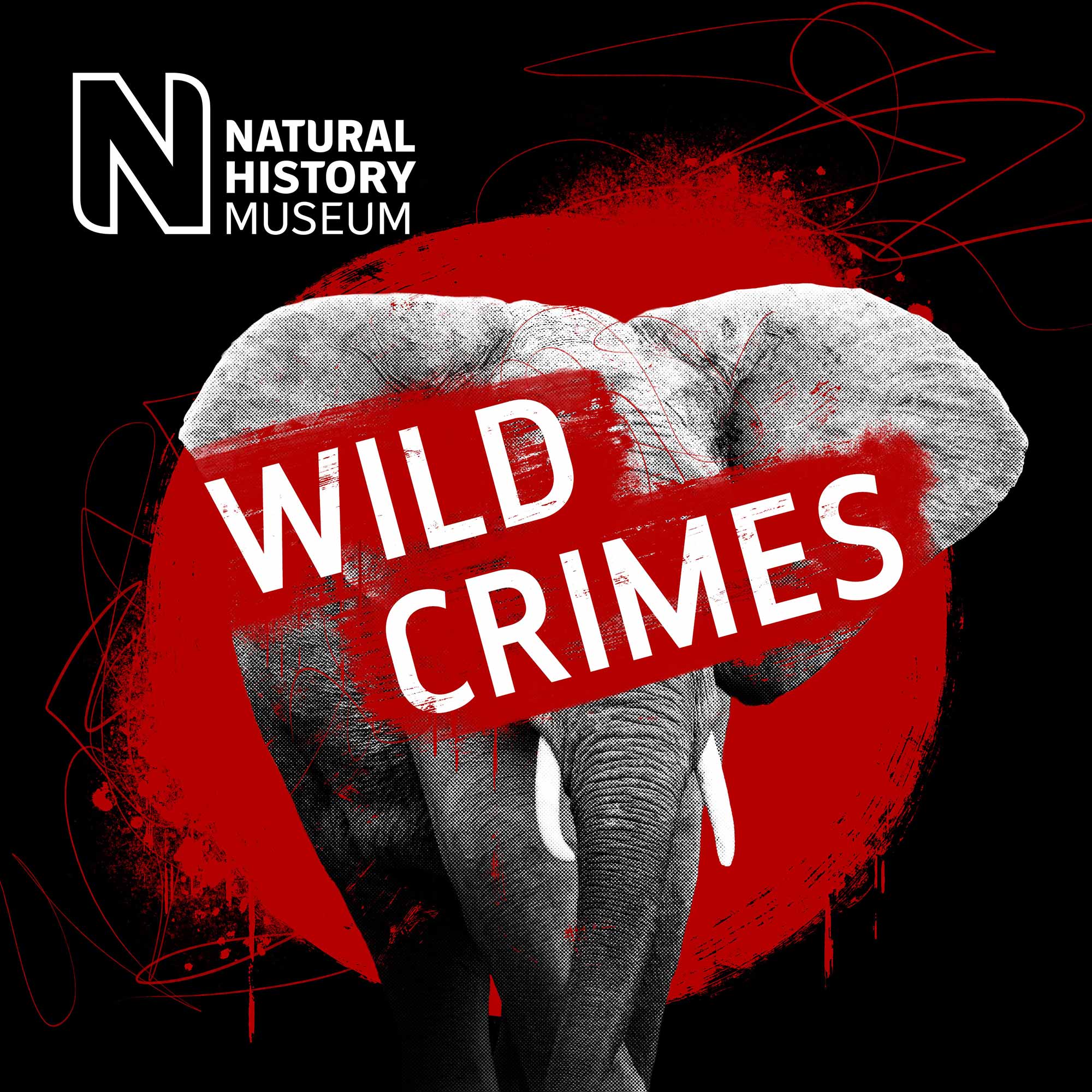 A mammoth task: halting the ivory trade