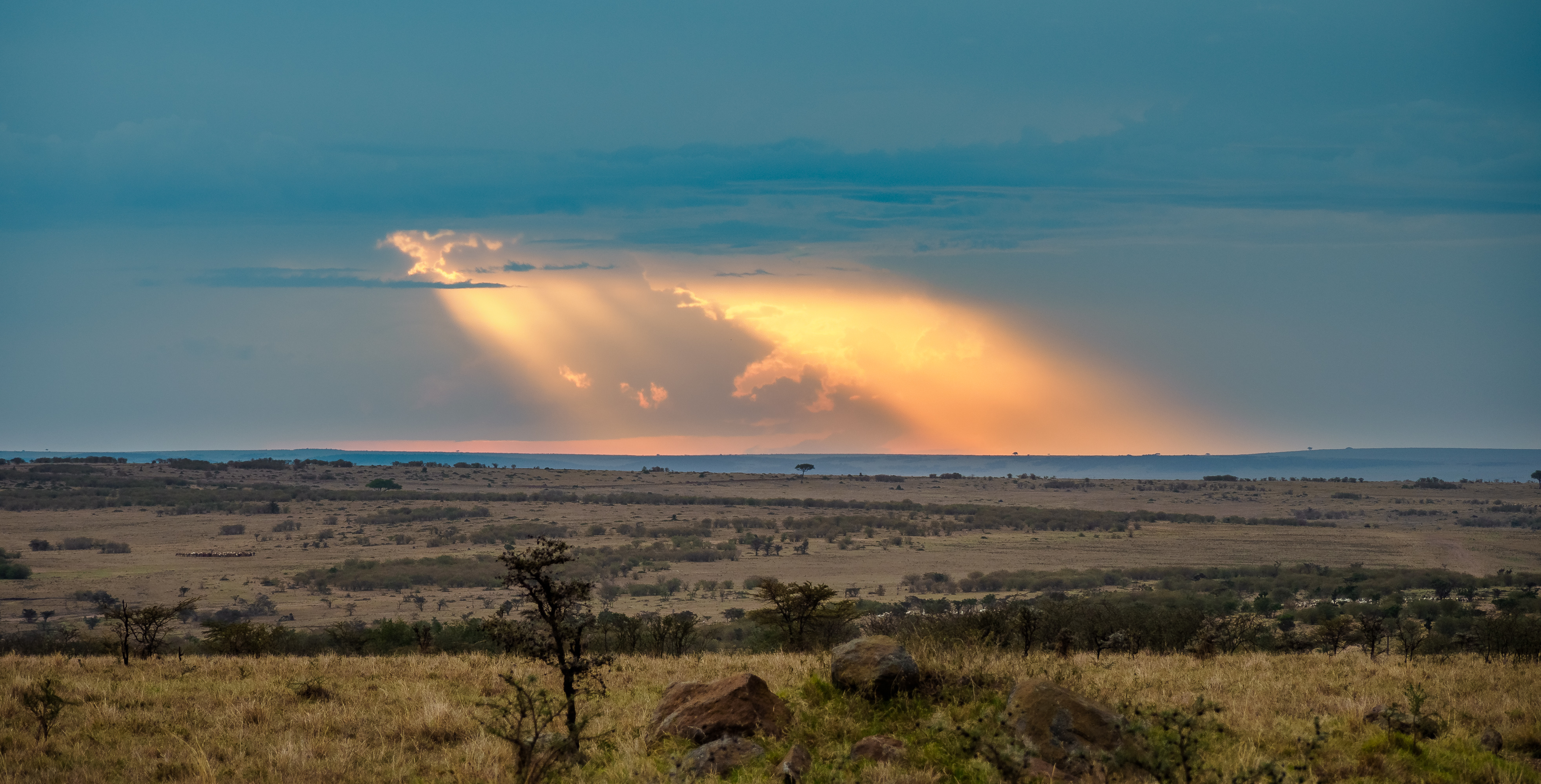 Adventure With Africa Kenya Safaris