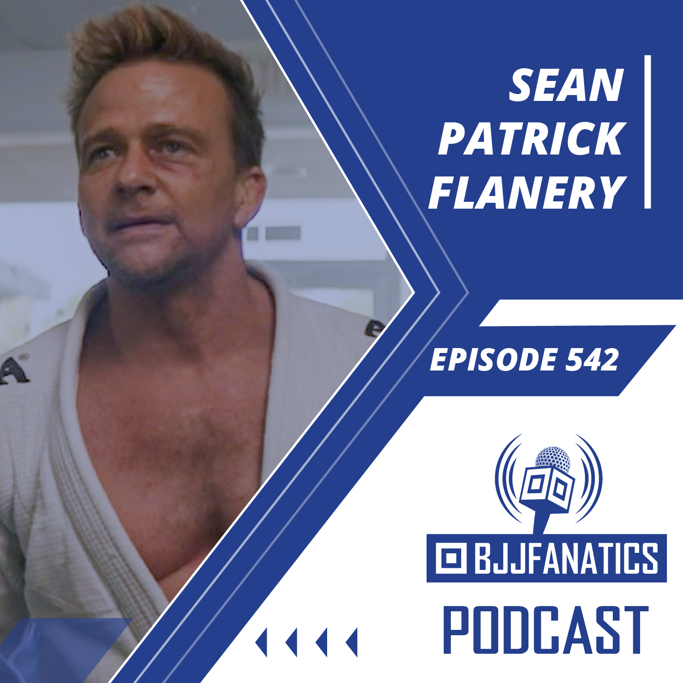 BJJ Fanatics 542: Sean Patrick Flanery