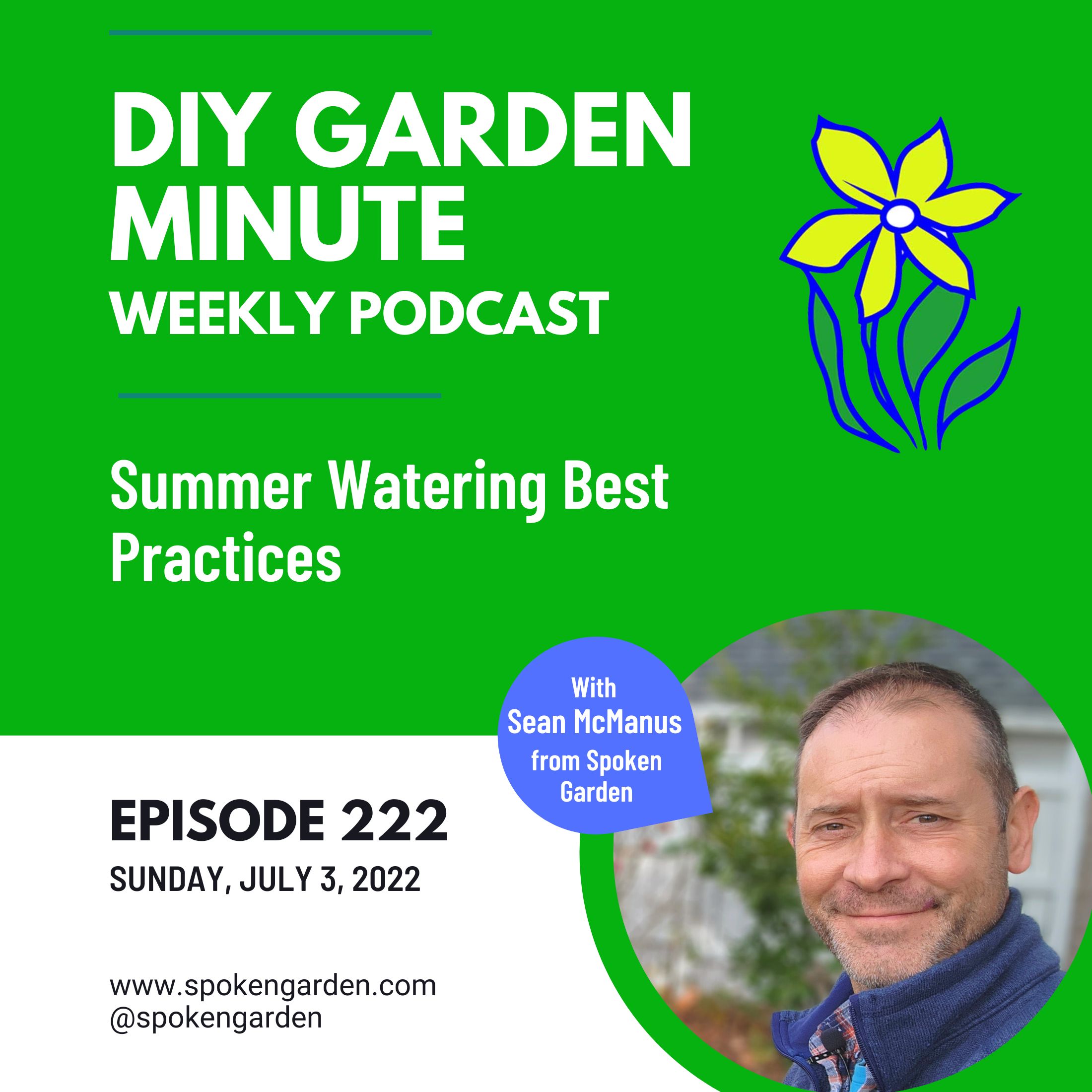 Summer Watering Best Practices - DIY Garden Minute Ep. 222