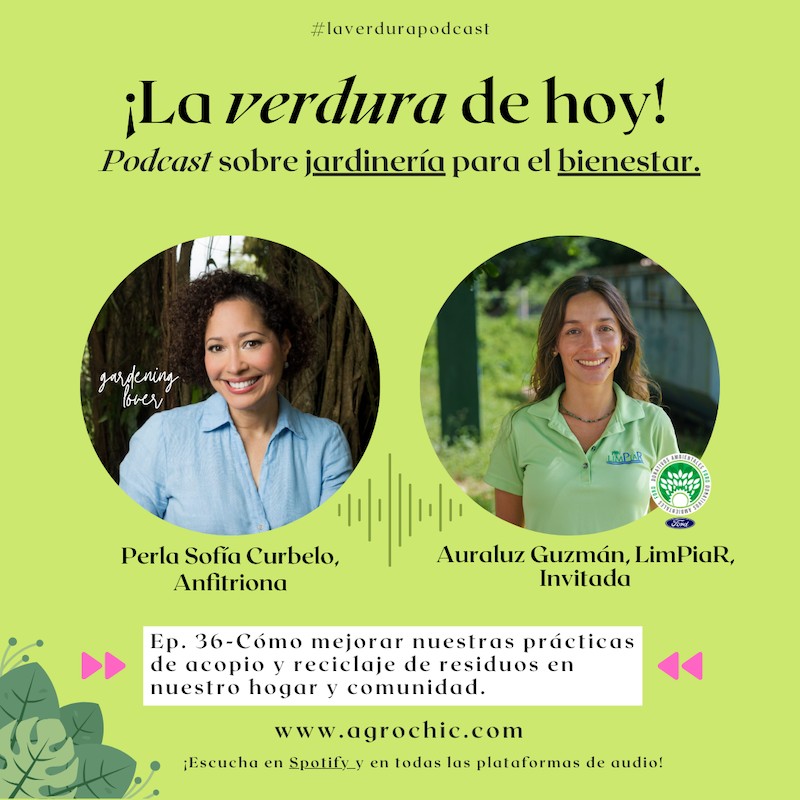 E. 36- Cómo mejorar nuestras prácticas de acopio y reciclaje de residuos en nuestro hogar y comunidad.
