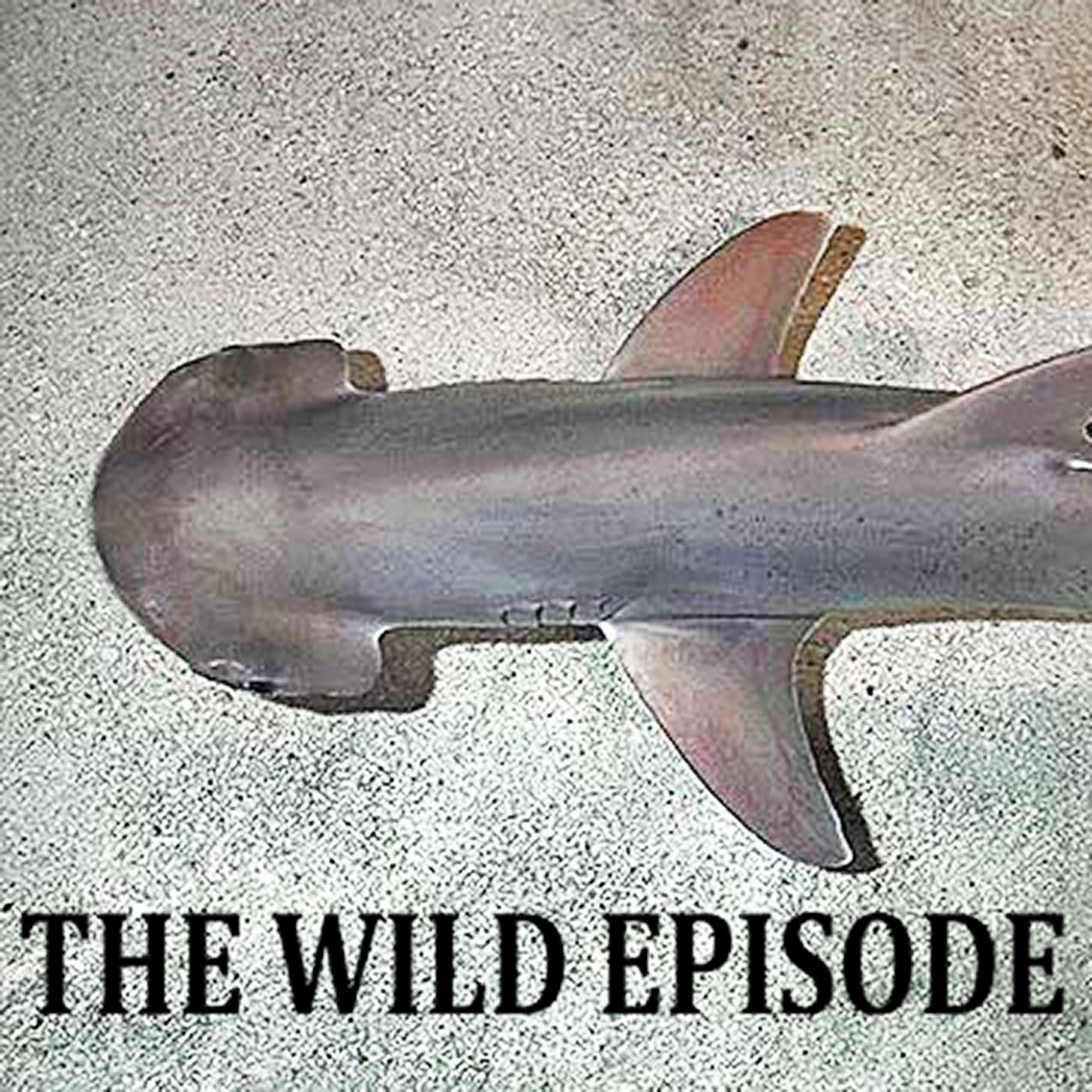 The Wild Episode