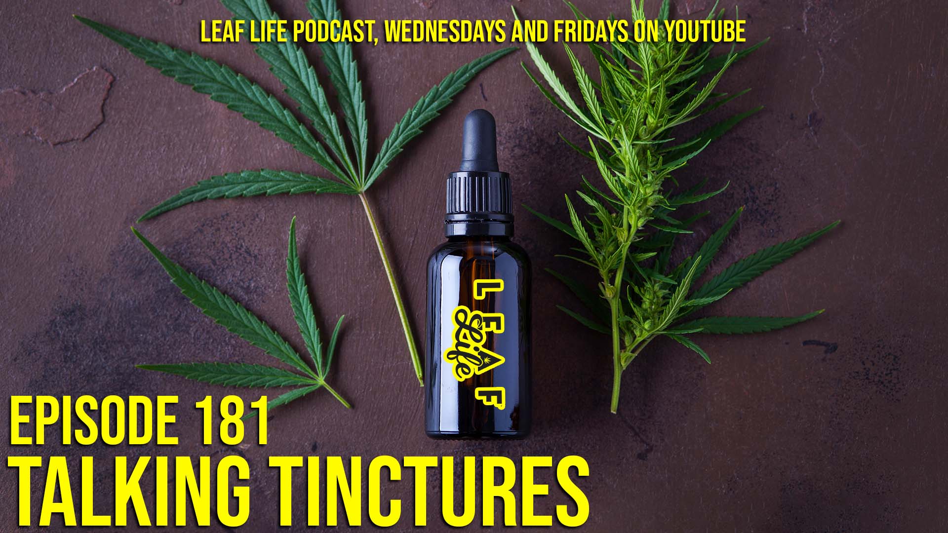 Leaf Life Show #181 - Talking Tinctures - Seattle