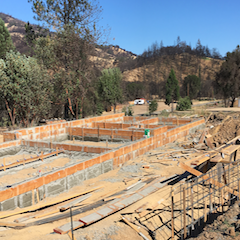Rising Green from the Ashes: Zero Carbon Homes