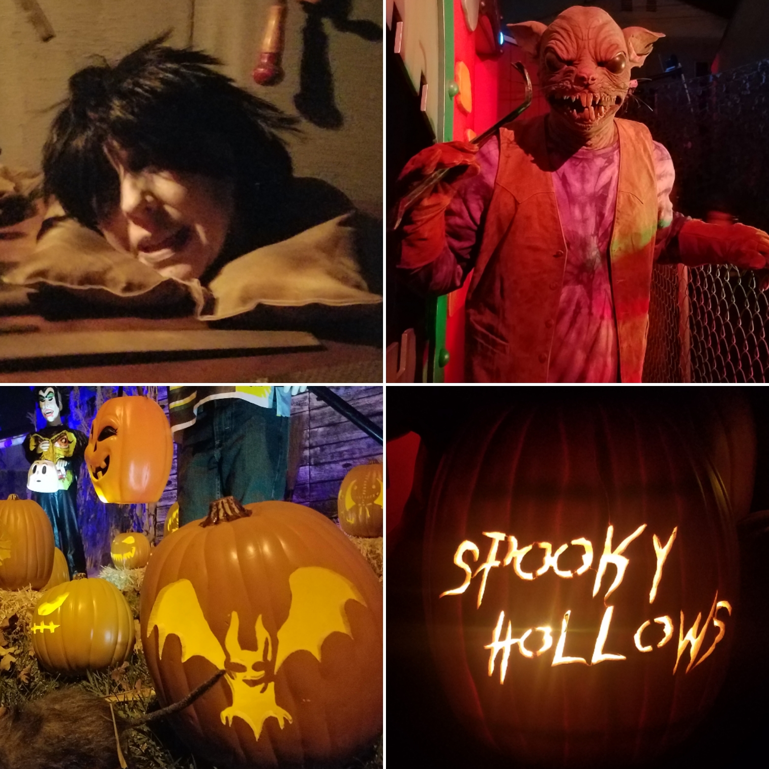 Episode 352 - Wicked Pumpkin Hallow, Backwoods, Rotten Apple’s Kilpetto's Toy Shop, & Spooky Hollows 2018