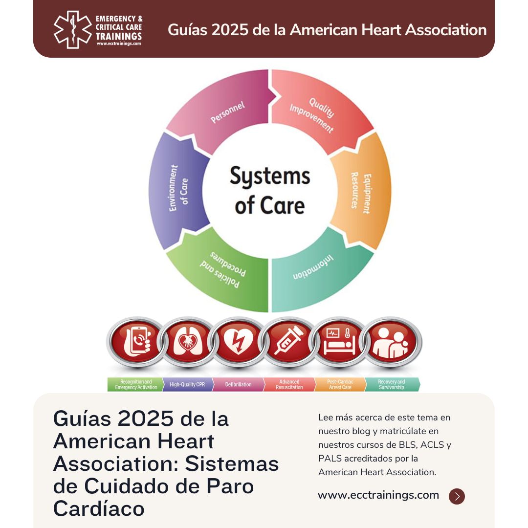 Sistemas de Cuidado de Paro Cardíaco: Una Respuesta Integral para Salvar Vidas