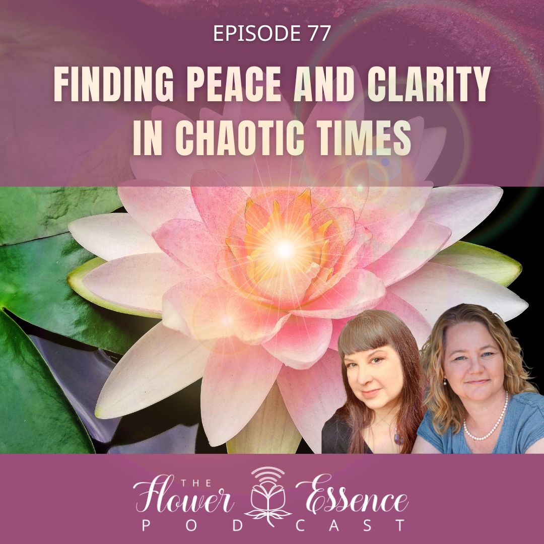 The Flower Essence Podcast