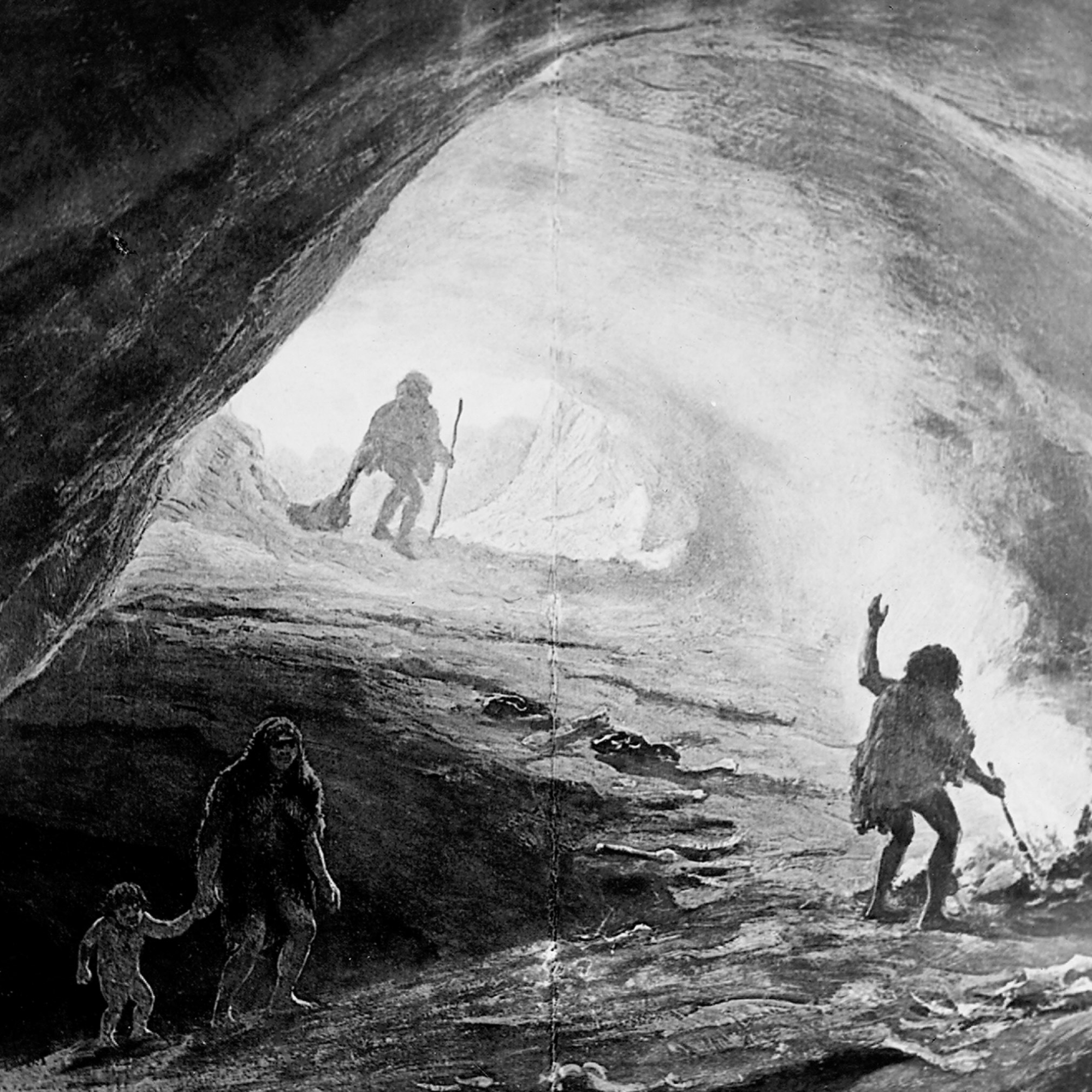 “Cave Men” or Men