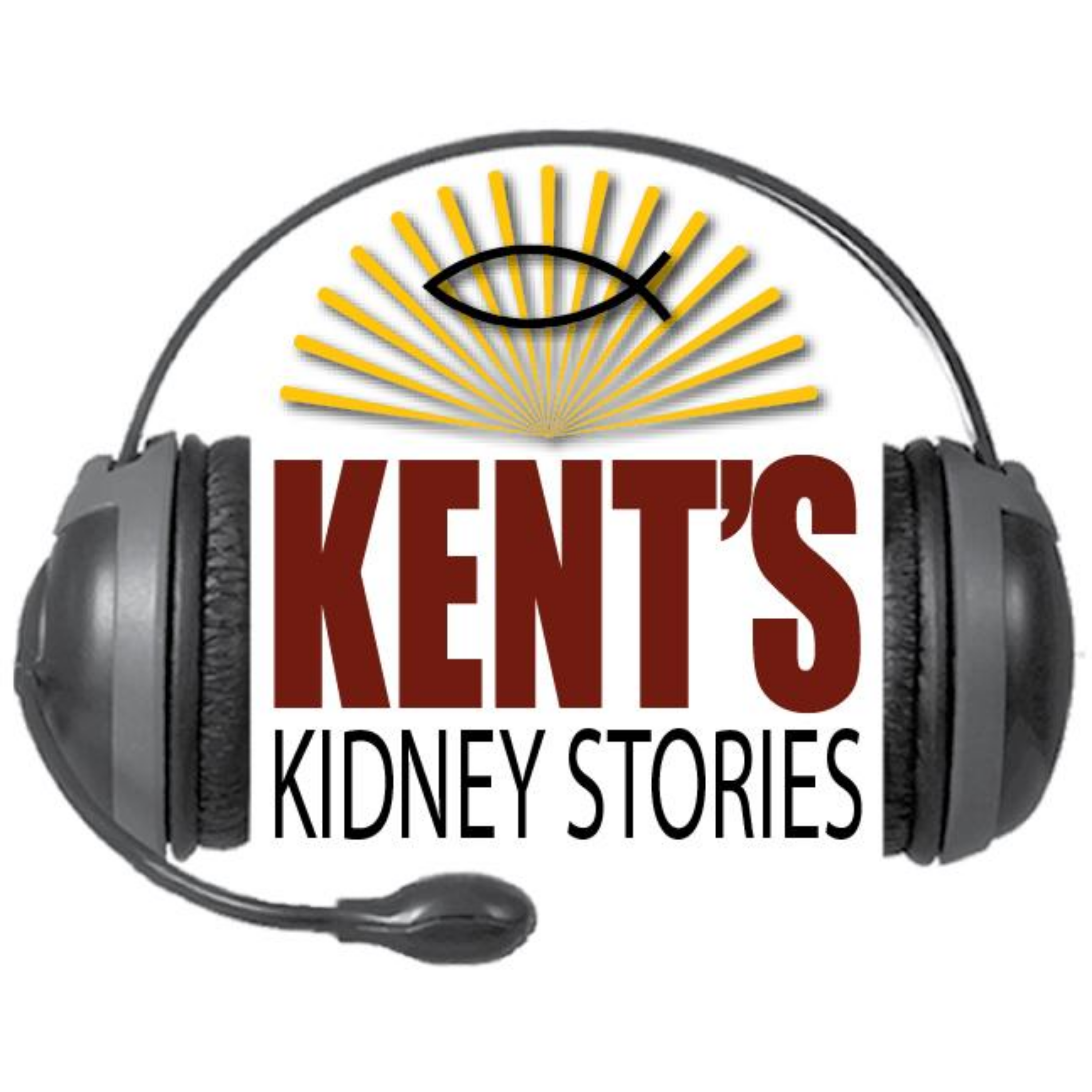 Kent\'s Kidney Stories