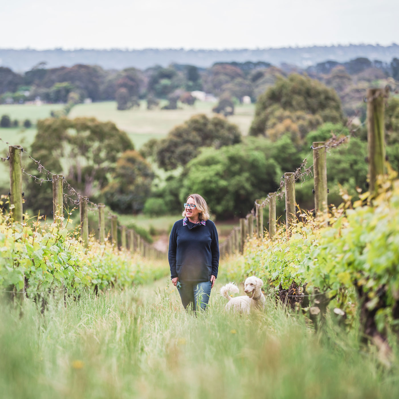 In The Vineyard With Podcast