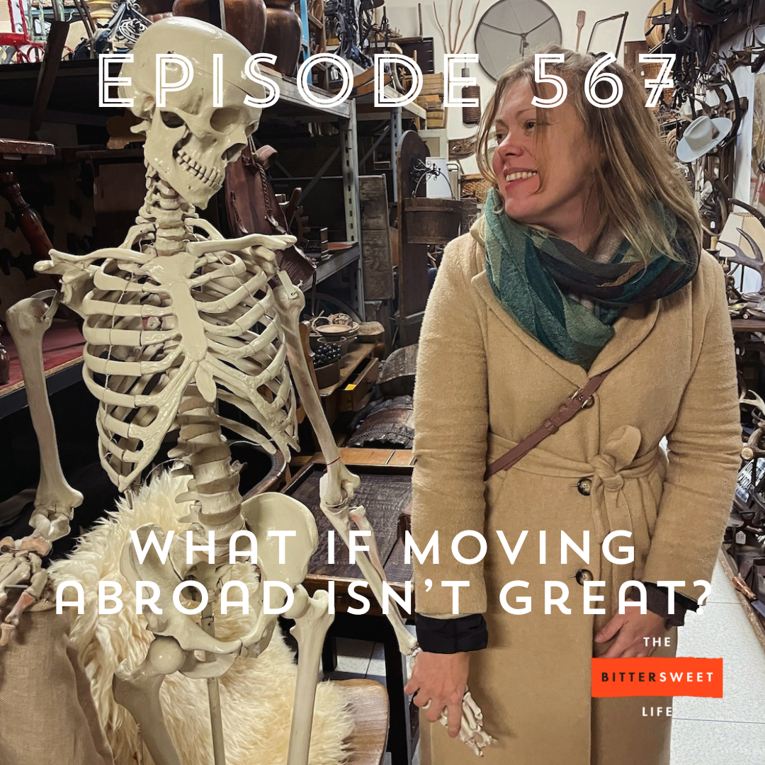 Episode 567: What if Moving Abroad Isn't Great? (with Darlene Sullivan)