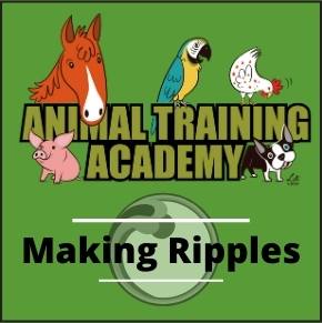 Animal Training Academy