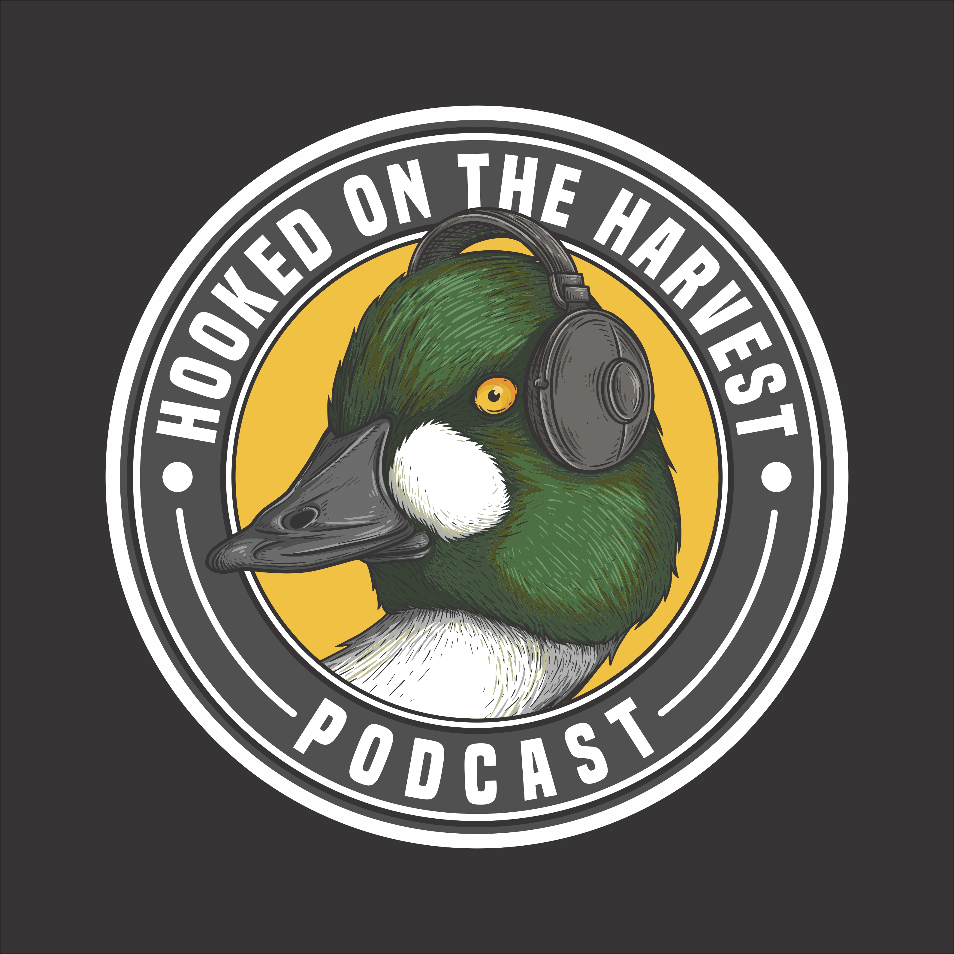 Tooth Hurty in the Morning (w/ Tyler Flynn)