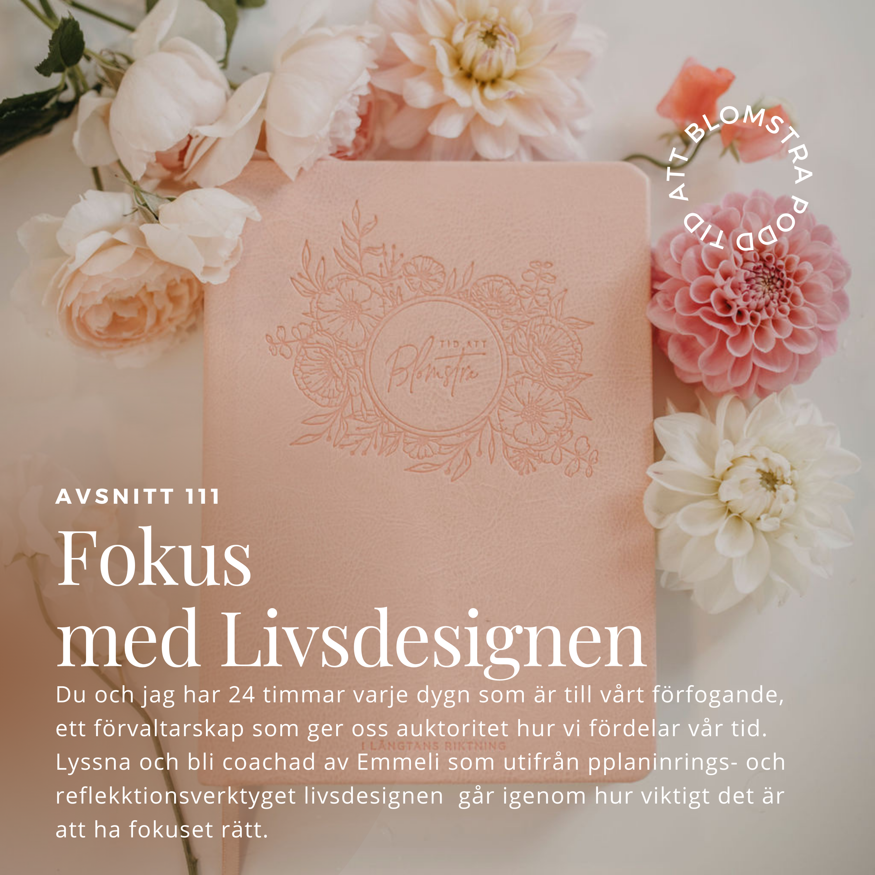 MOMENTUM – vision till verklighet, transformerande ledarskap och frihetsföretagande