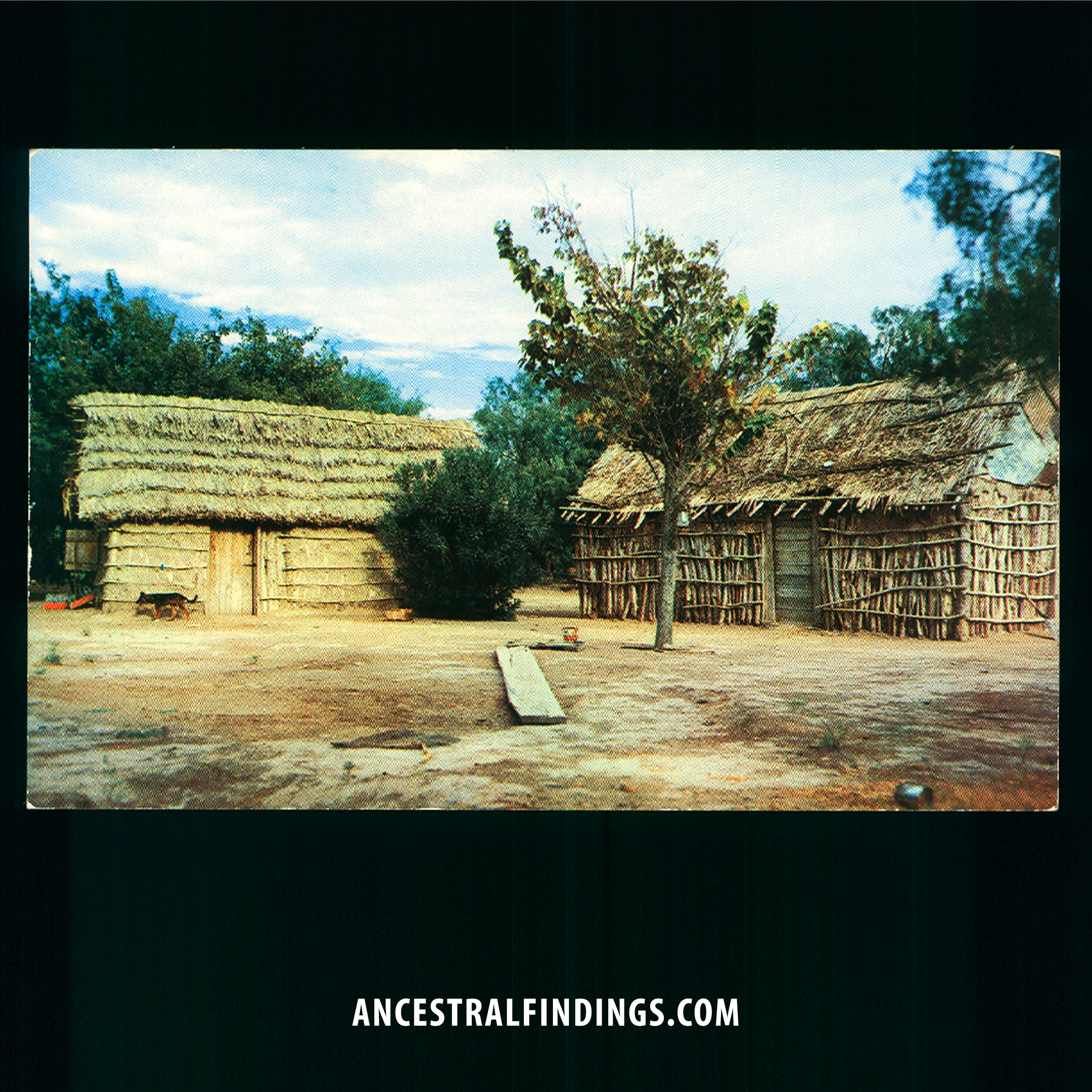 Ancestral Findings