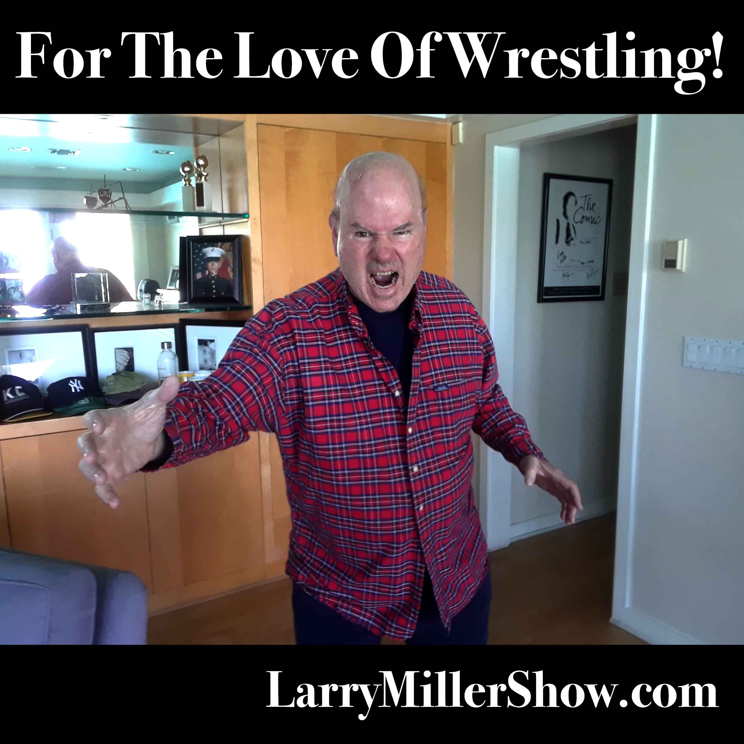 Larry Miller Show