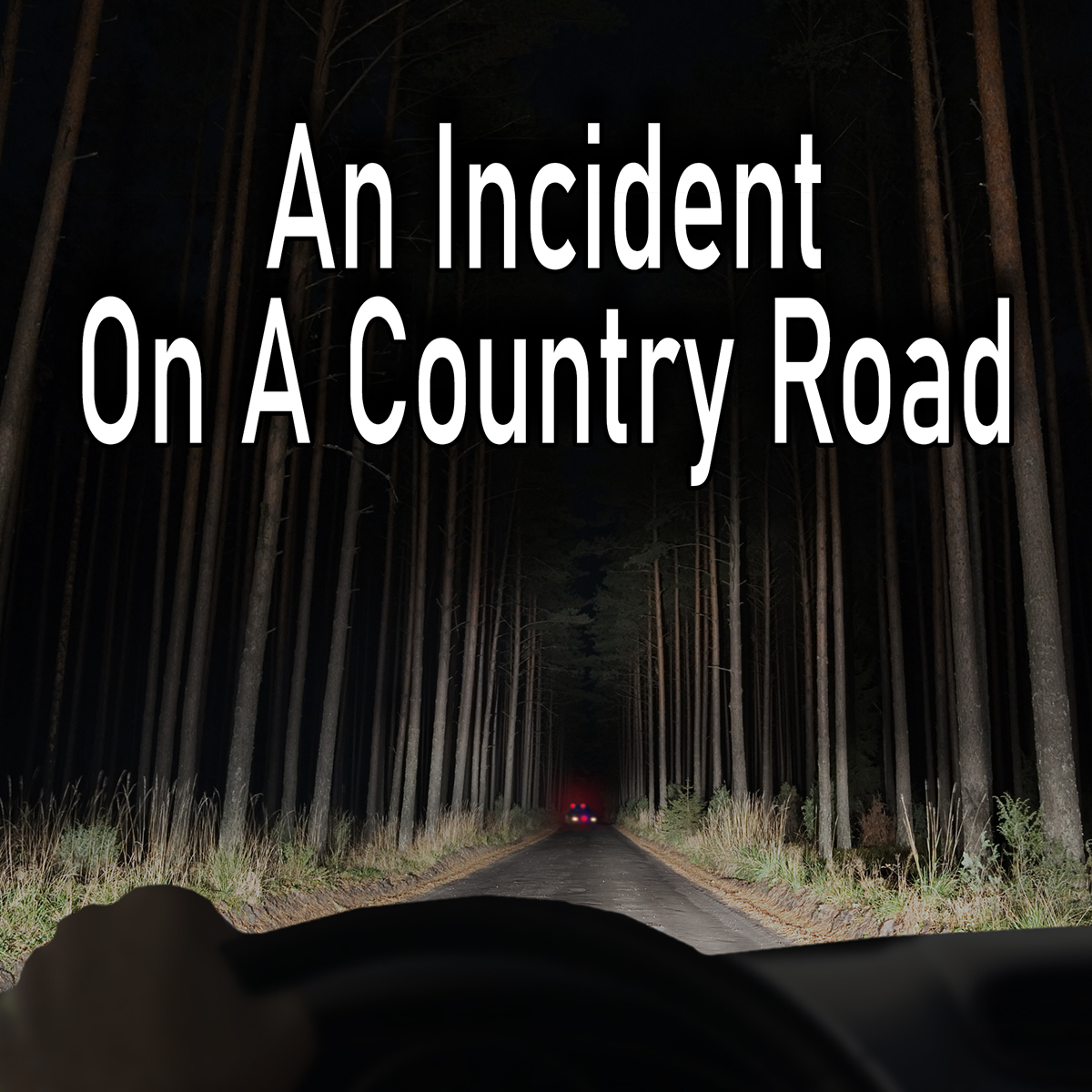 An Incident on a Country Road