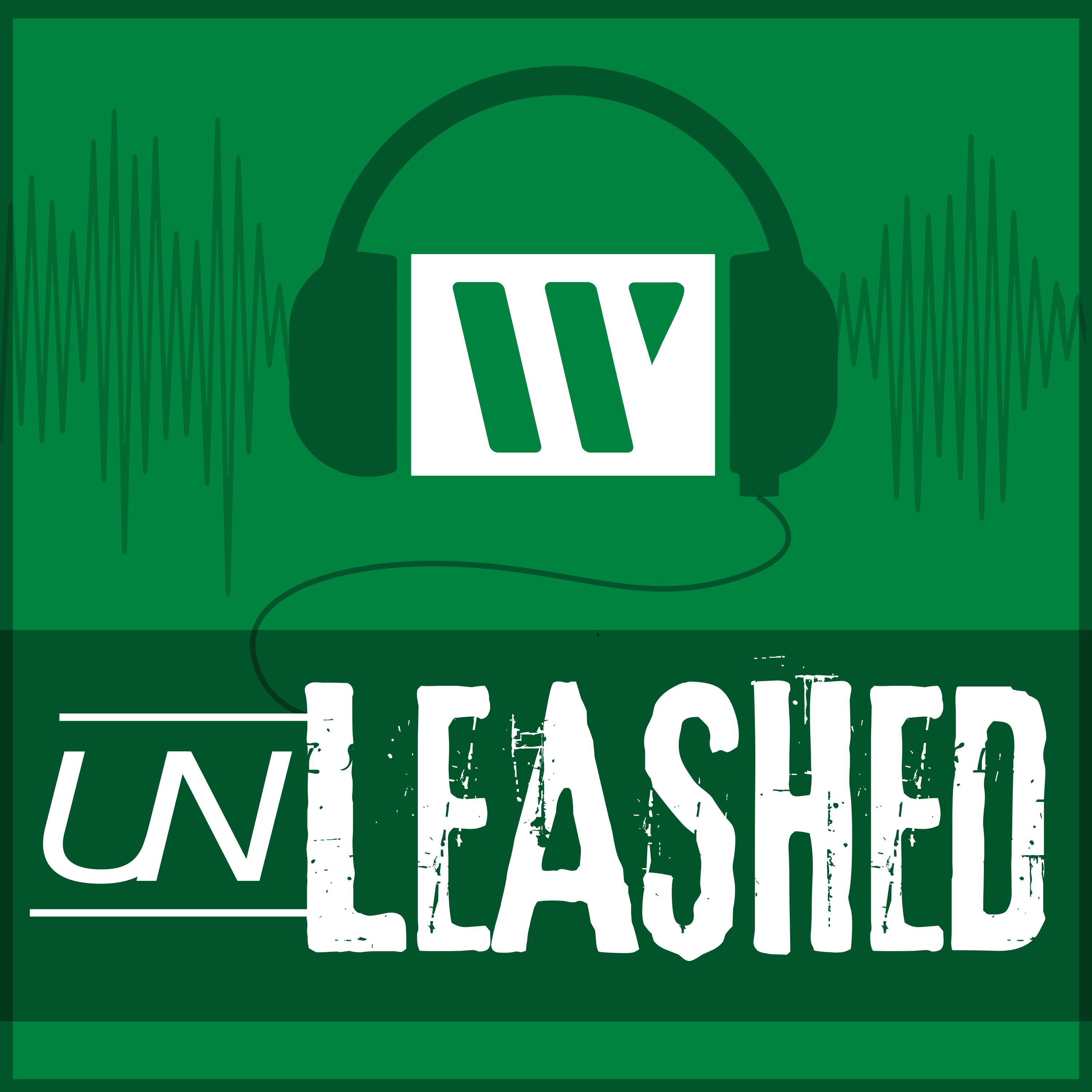 WGI Unleashed