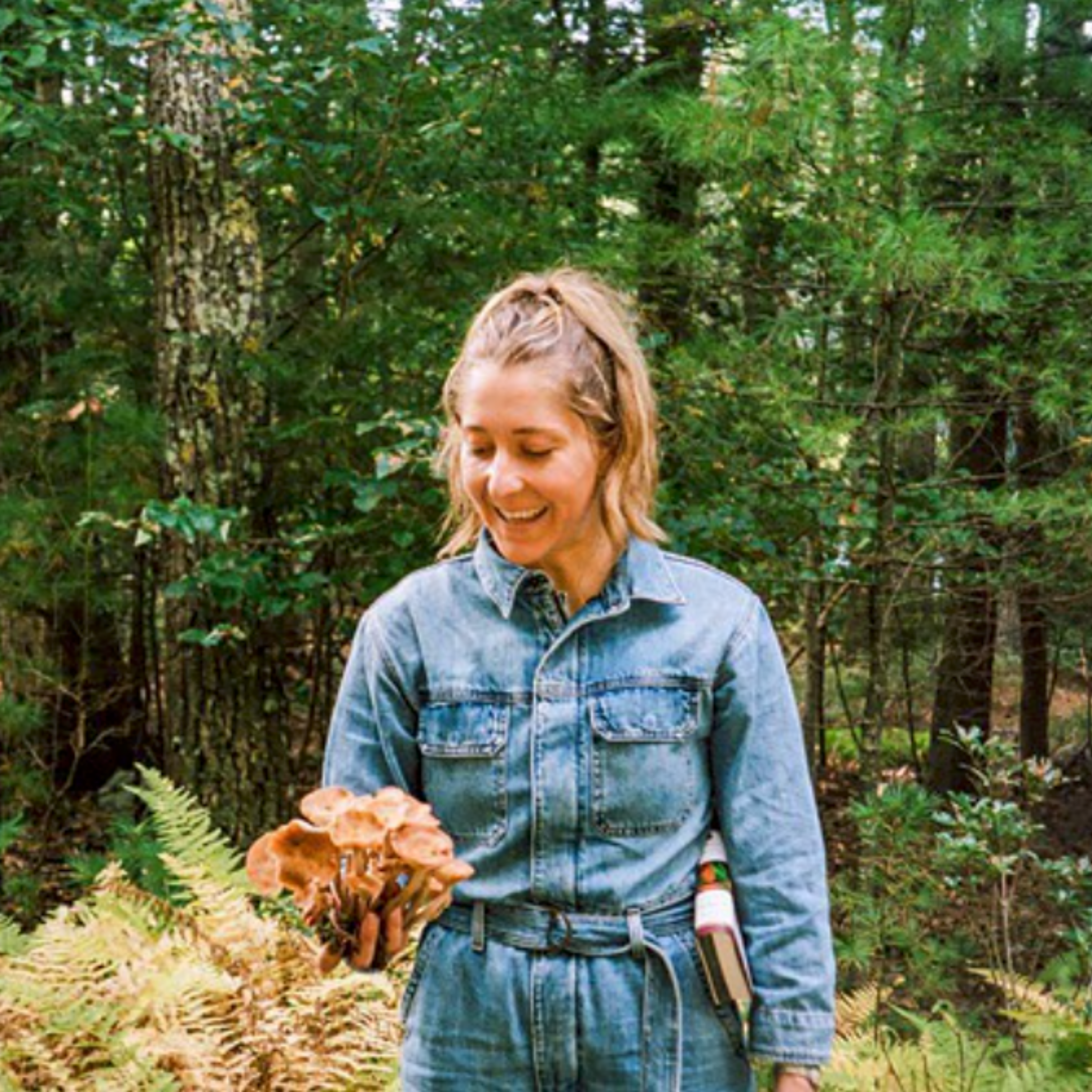 EFR 299: Benefits of Functional Mushrooms and Other Superfoods with Danielle Broida