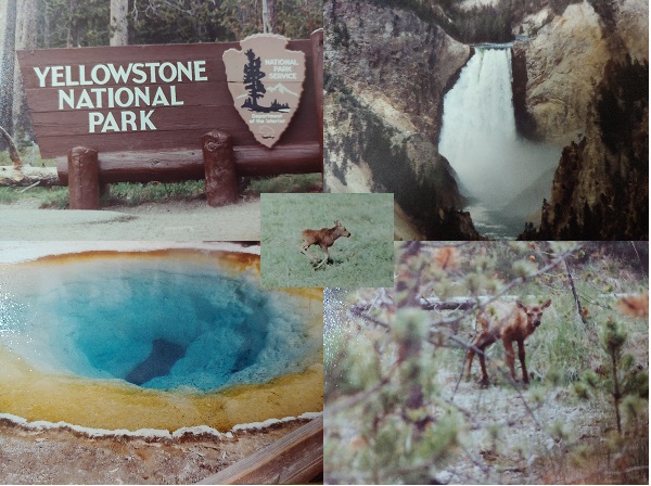 Ep. 327 - Yellowstone National Park