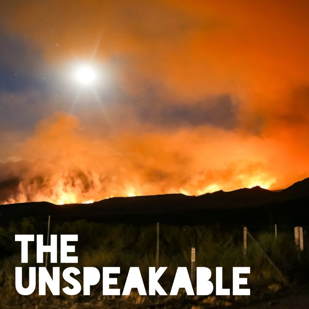 cover of episode Special Episode Part 4 Los Angeles Fires: What Is A Catastrophe?