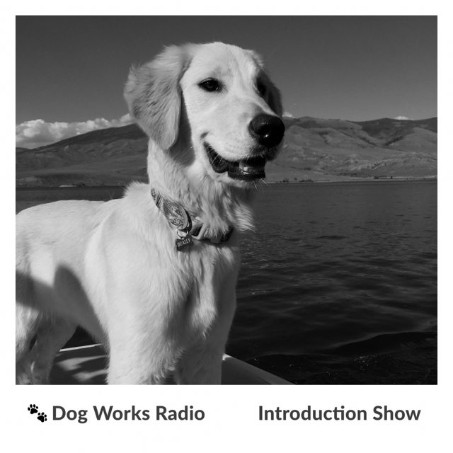 Dog Works Radio