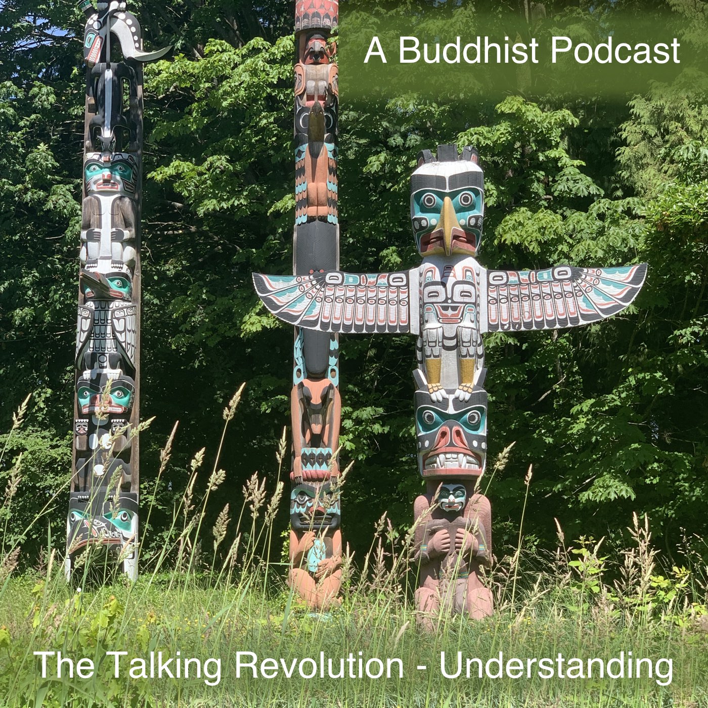 cover of episode A Buddhist Podcast - The Talking Revolution - Understanding