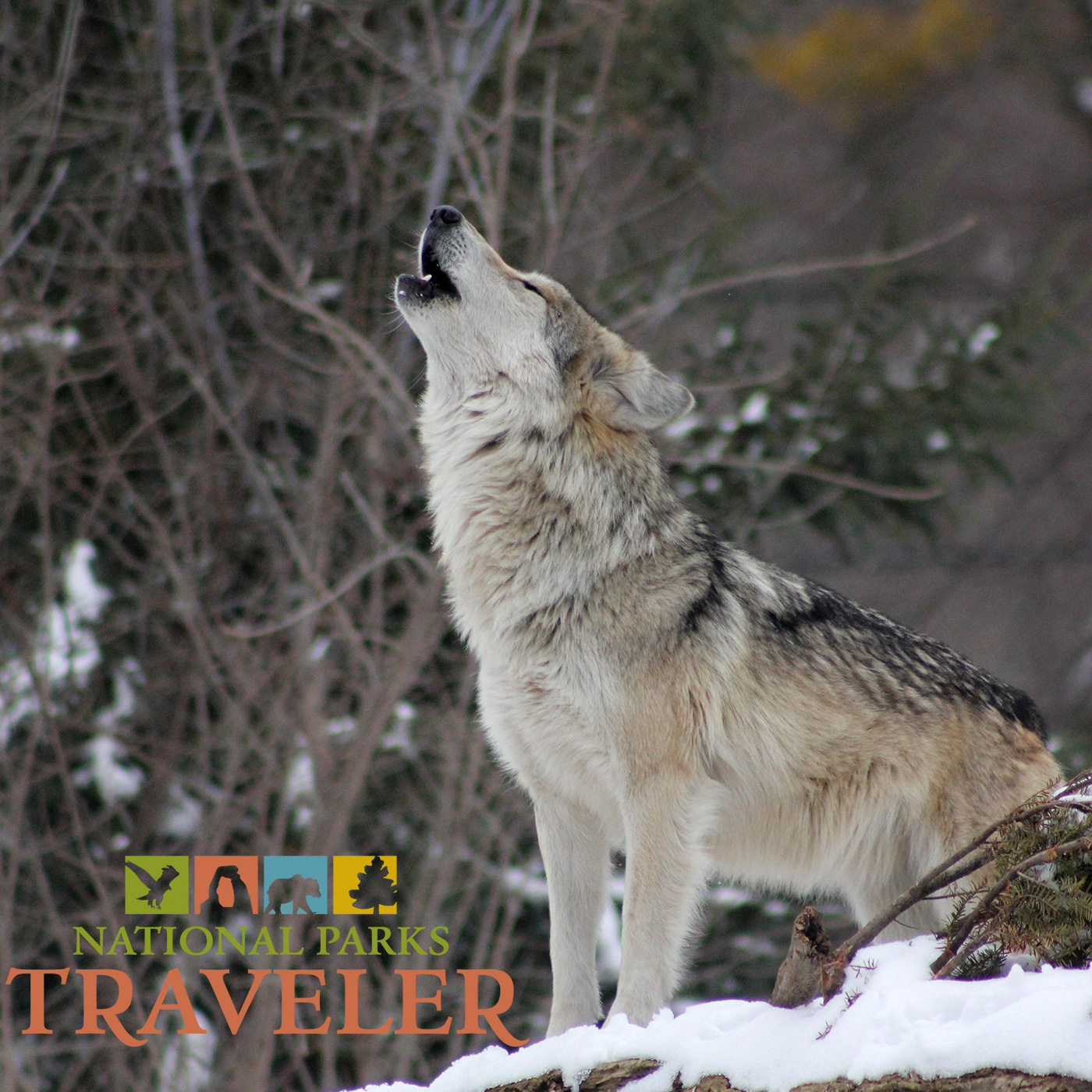National Parks Traveler Podcast
