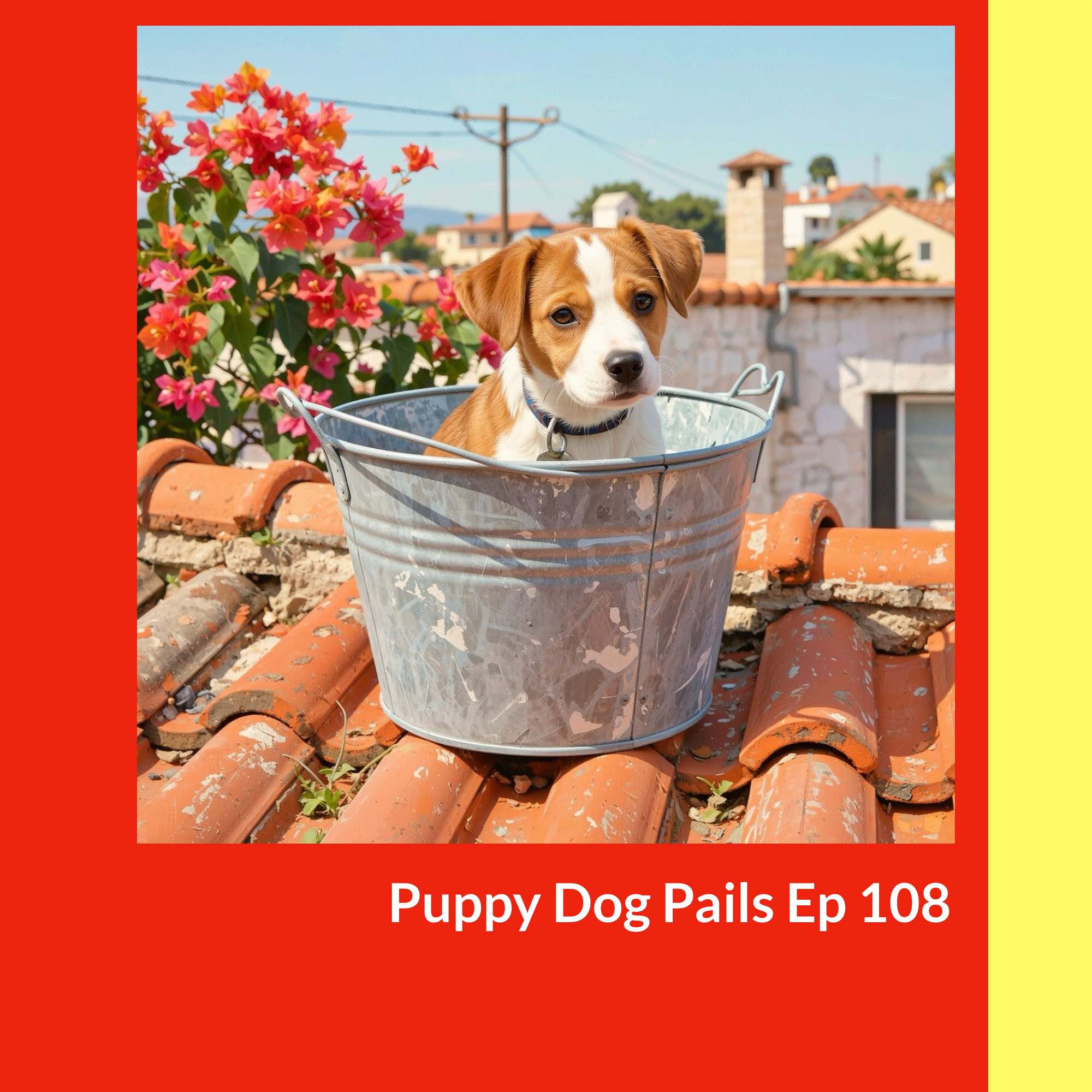 Puppy Dog Pails - Why has Spain a reputation for animal cruelty? Puppy Dog Pails - Why has Spain a reputation for animal cruelty?