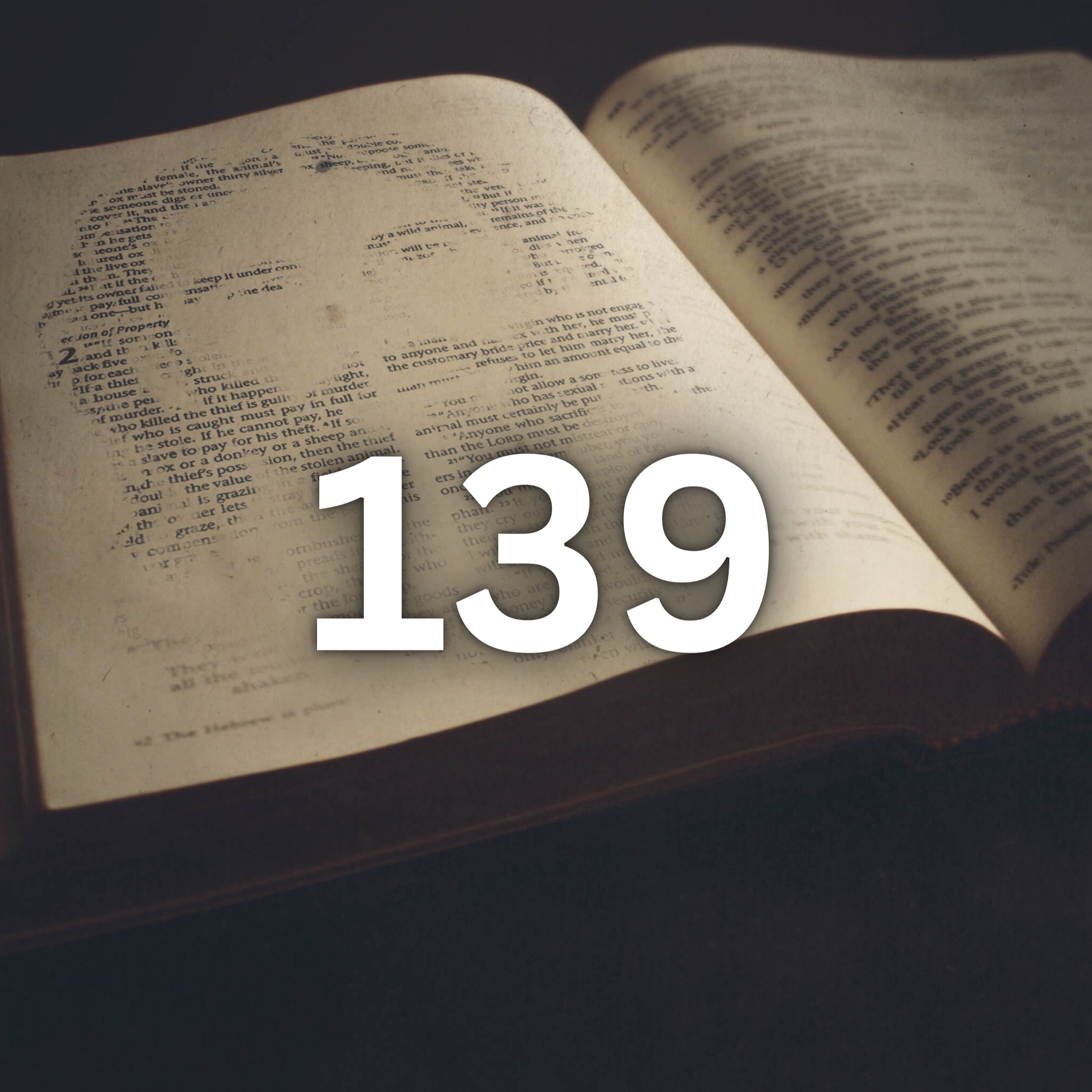 Walking With The Word | The Bible In 365