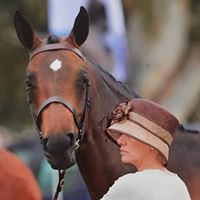 0797: Andrea Ridel-Carrison LC - Sometimes Equine Specialist Veterinary Nurses Need to be Mediators (Listeners' Choice)