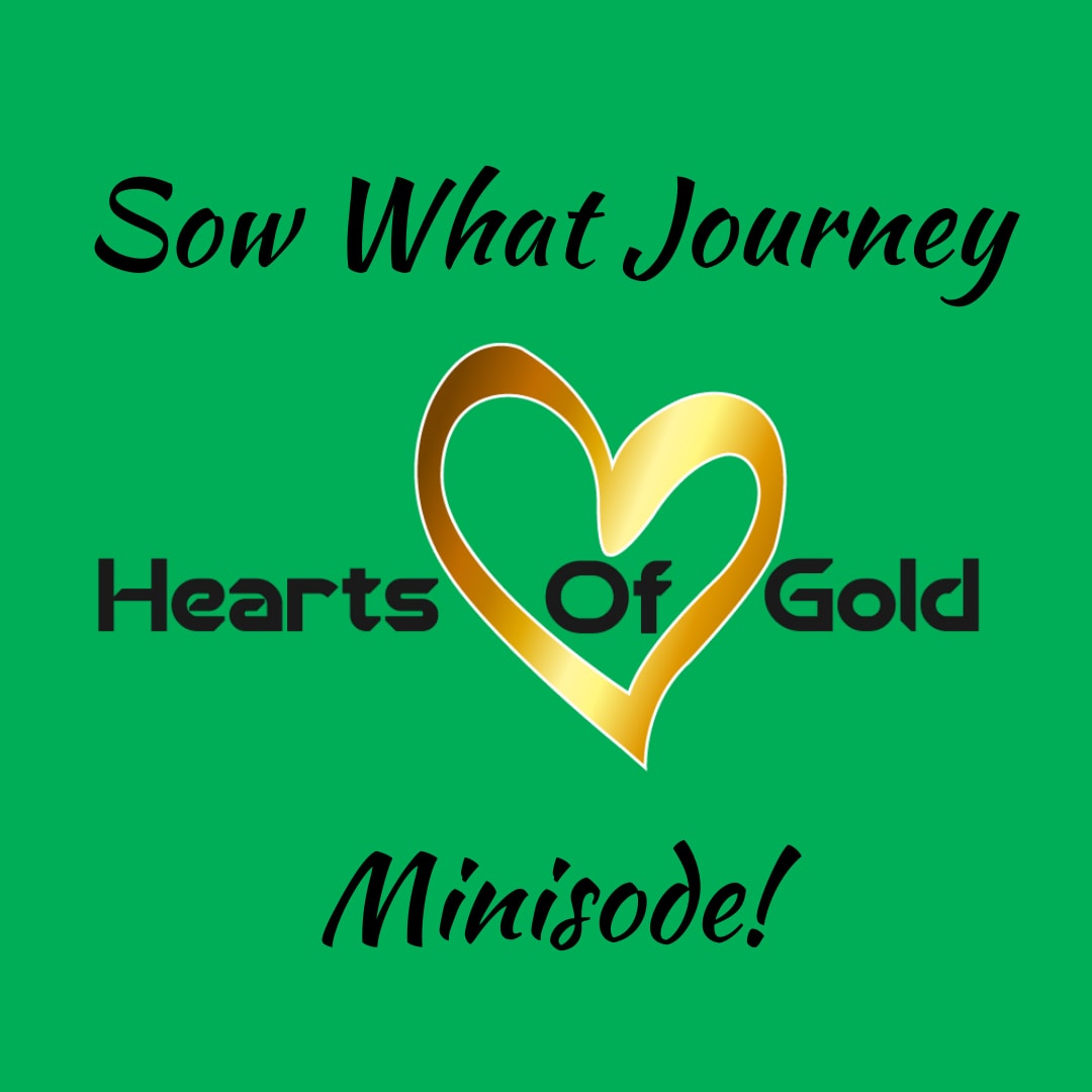 Hearts Of Gold - Reflections from Gold Award Girl Scouts